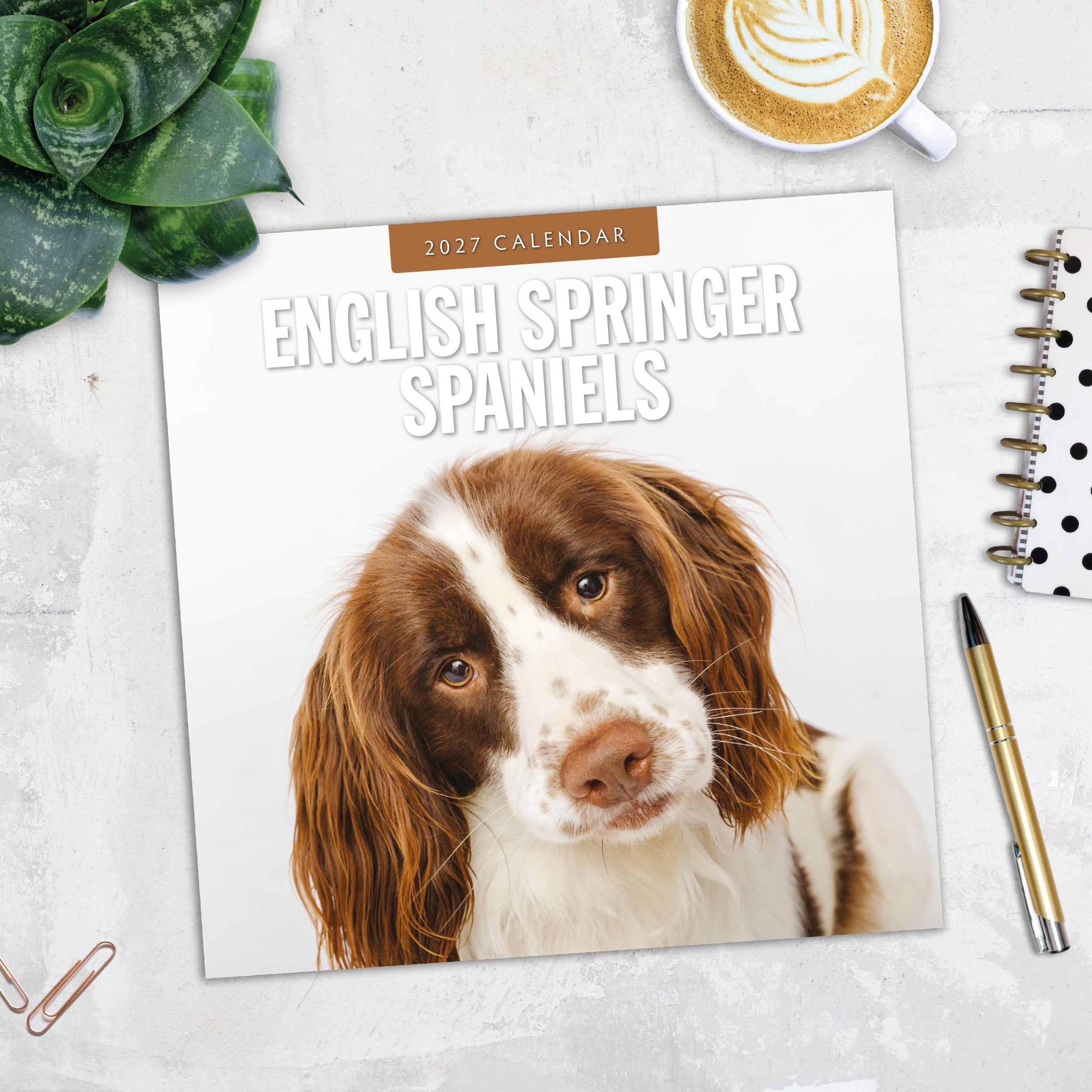 2027 English Springer Spaniels - Square Wall Calendar
