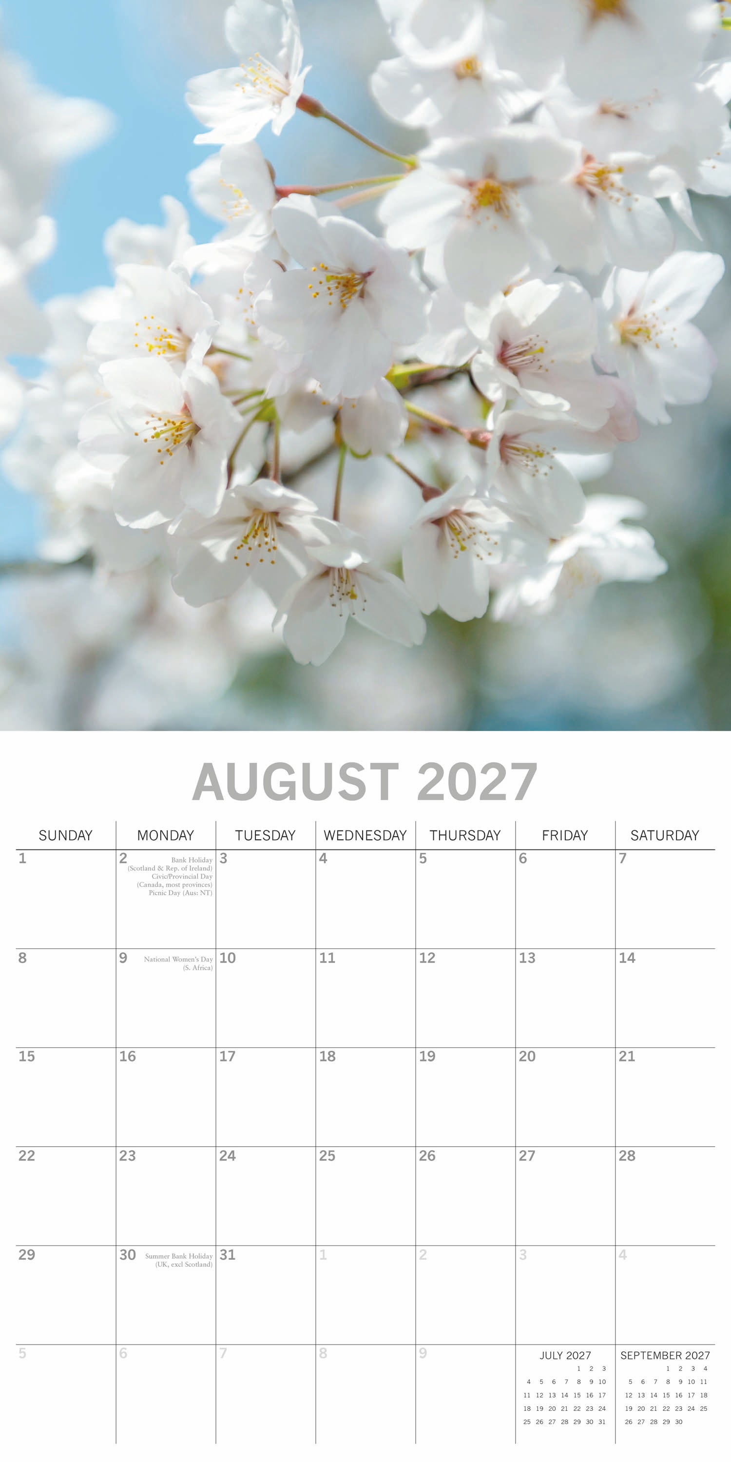 Floral_Blossoms_2027_Aug.jpg