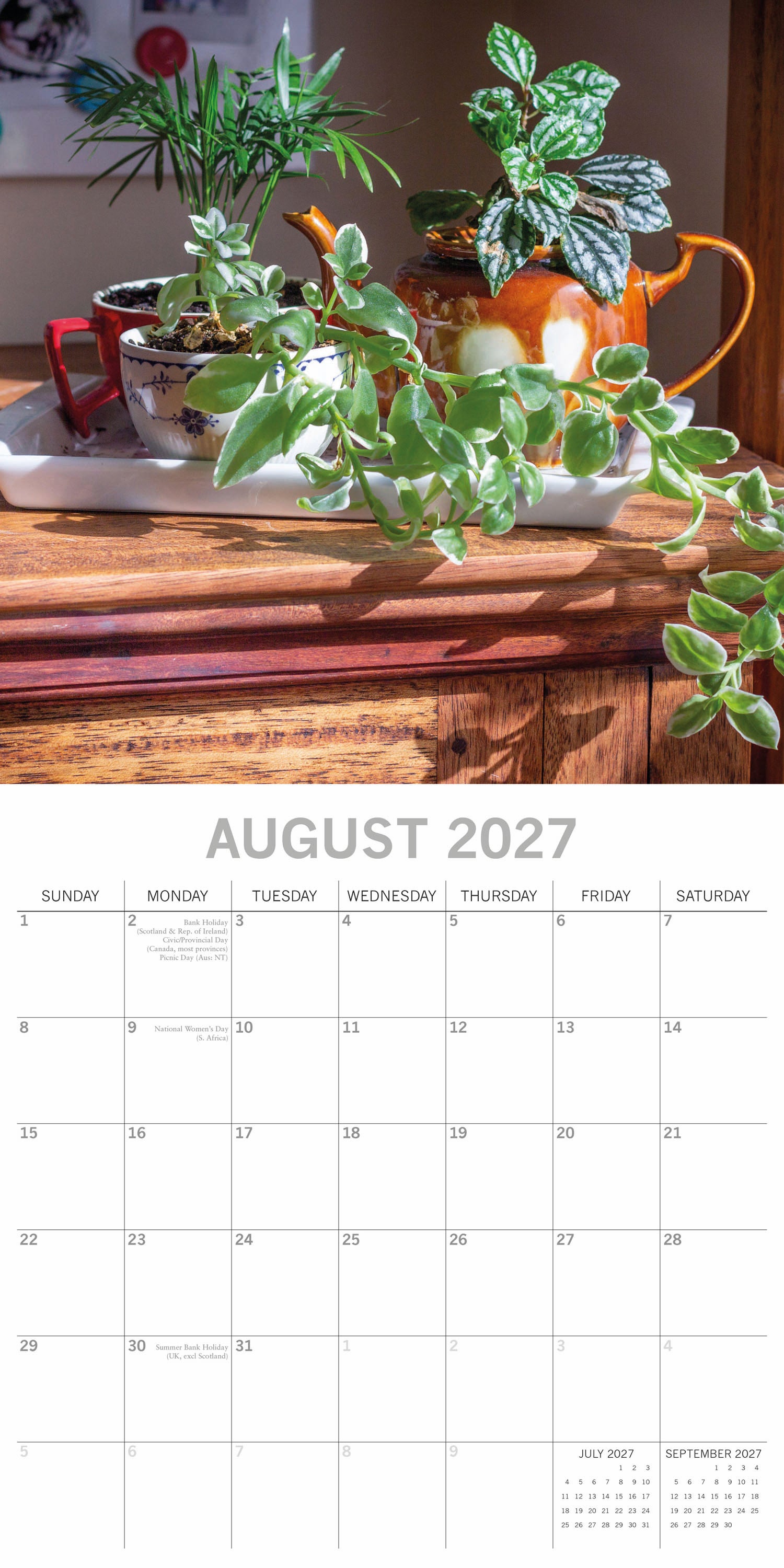 Floral_House_Plants_2027_Aug.jpg