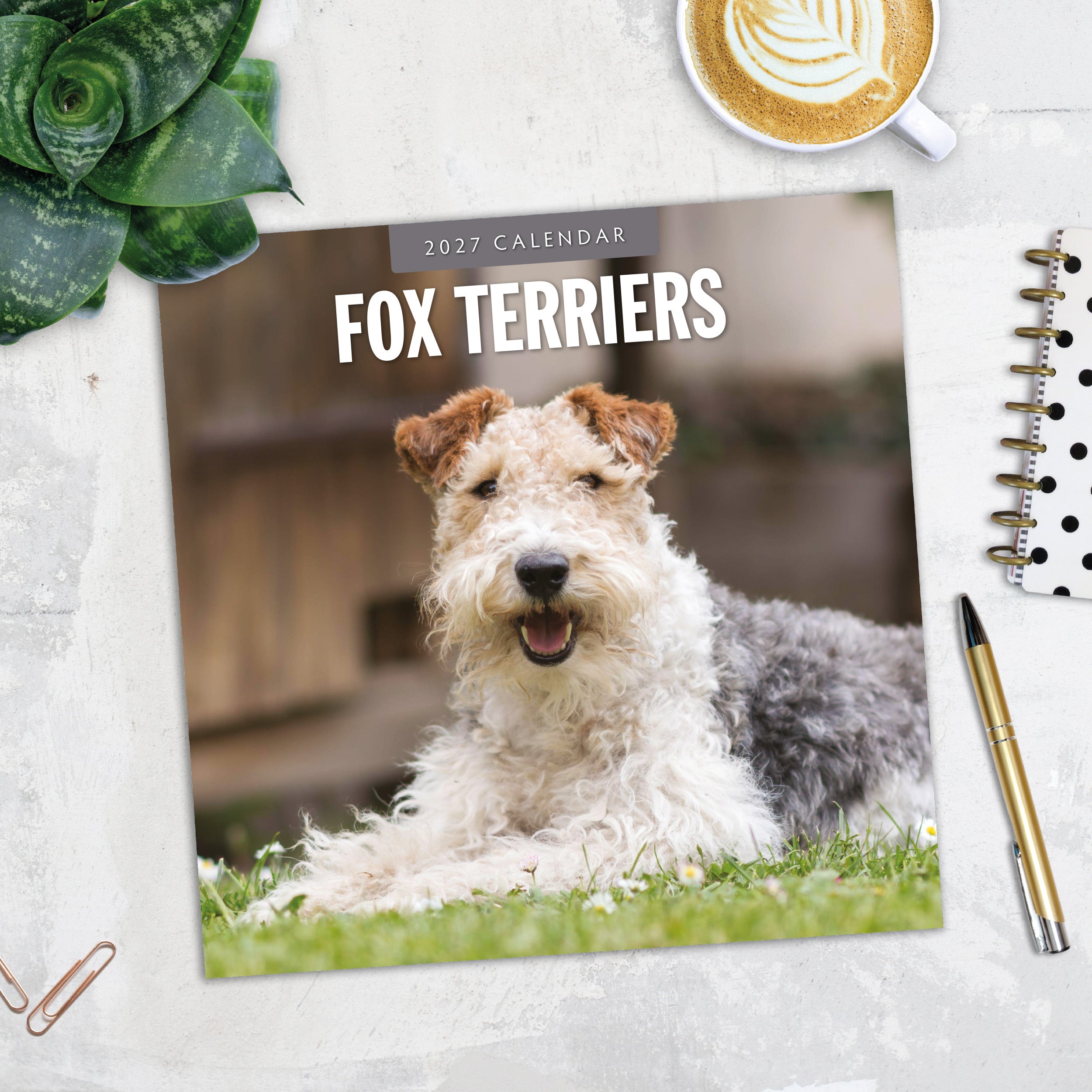 2027 Fox Terriers - Square Wall Calendar