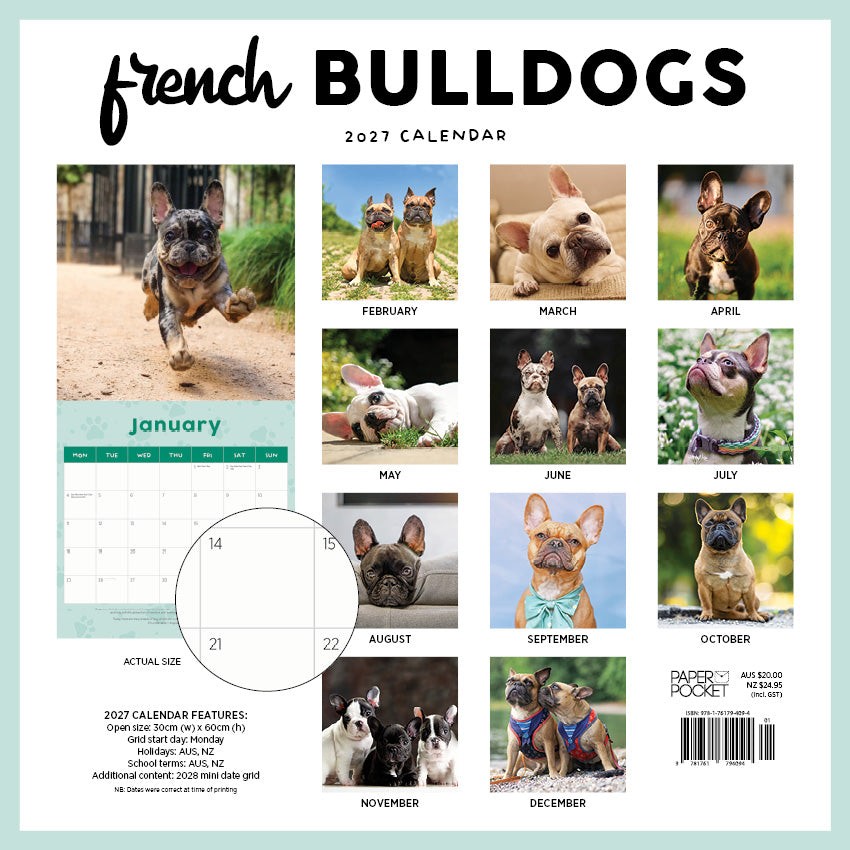 2027 French Bulldogs - Square Wall Calendar
