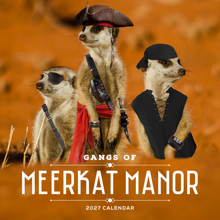 2027 Gangs Of Meerkat Manor - Square Wall Calendar