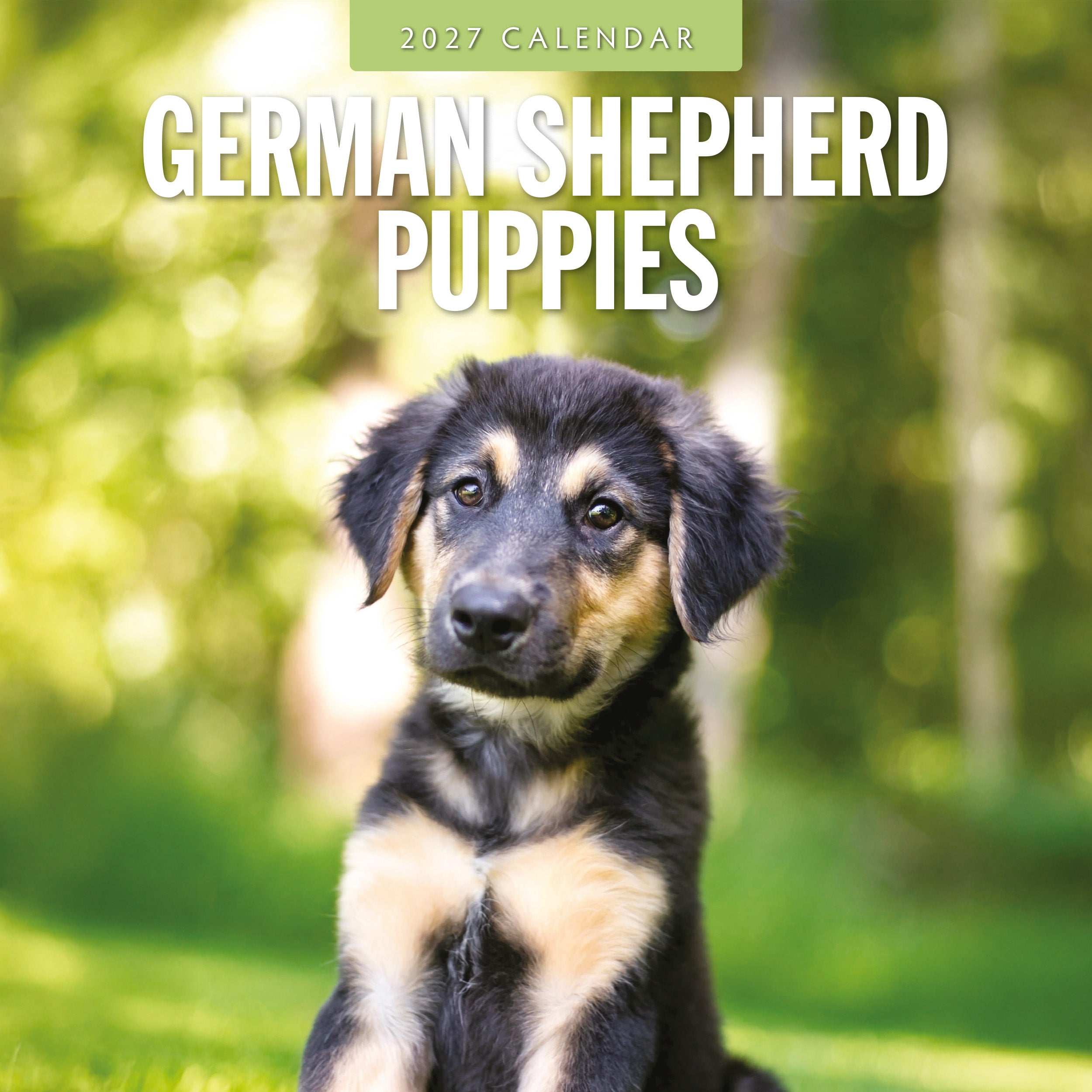 2027 German Shepherd Puppies - Square Wall Calendar