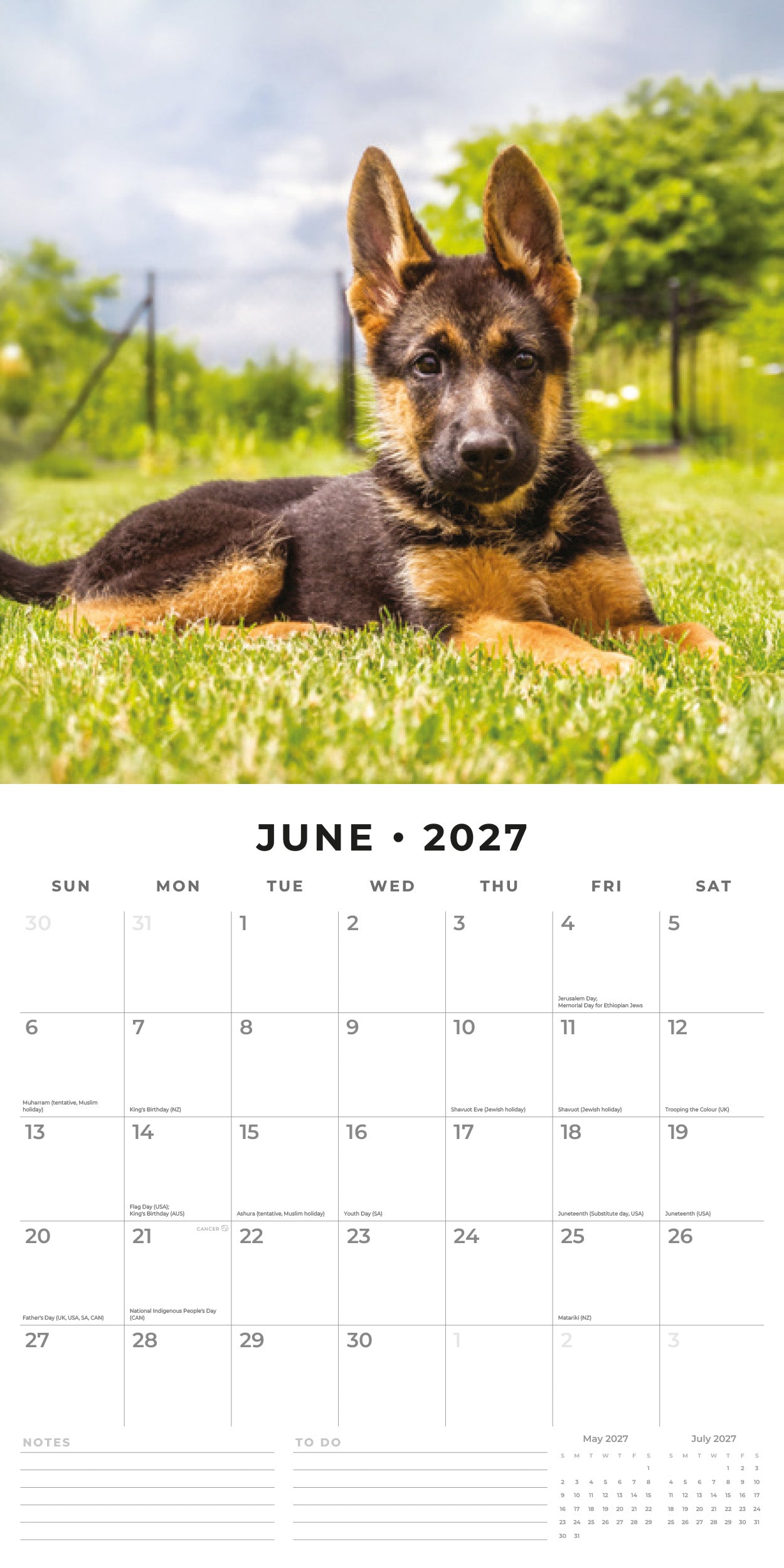 2027 German Shepherd Puppies - Square Wall Calendar