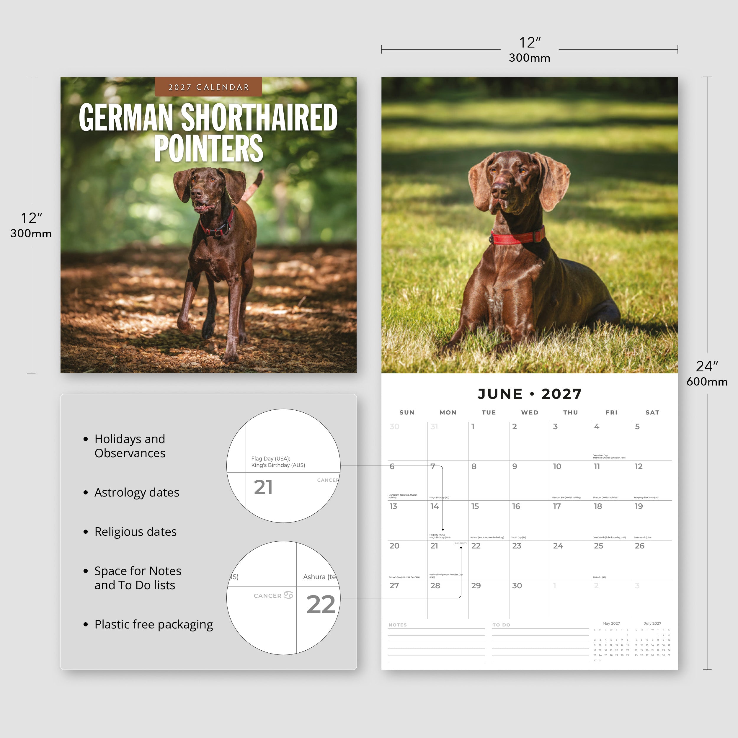 2027 German Shorthaired Pointers - Square Wall Calendar