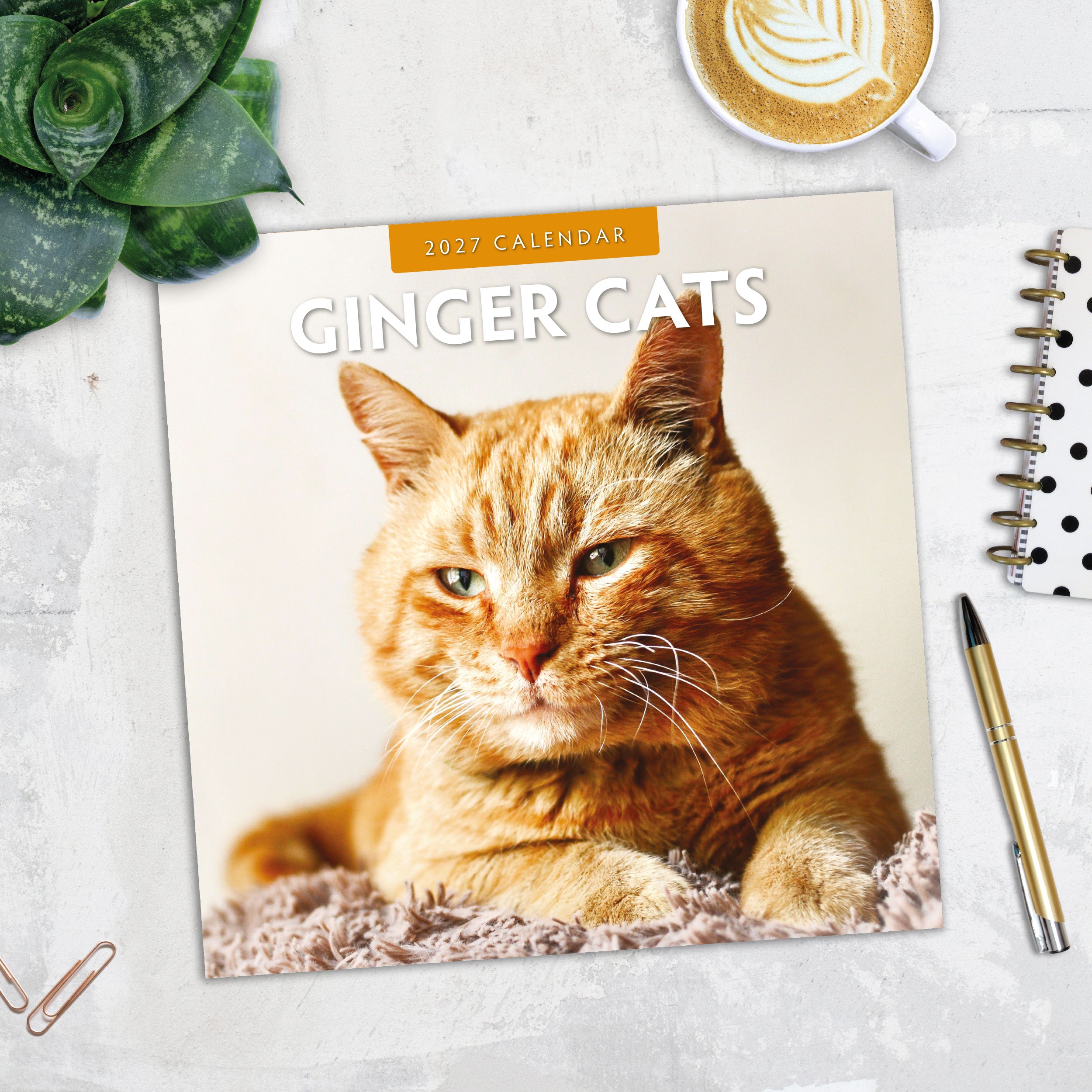 2027 Ginger Cats - Square Wall Calendar