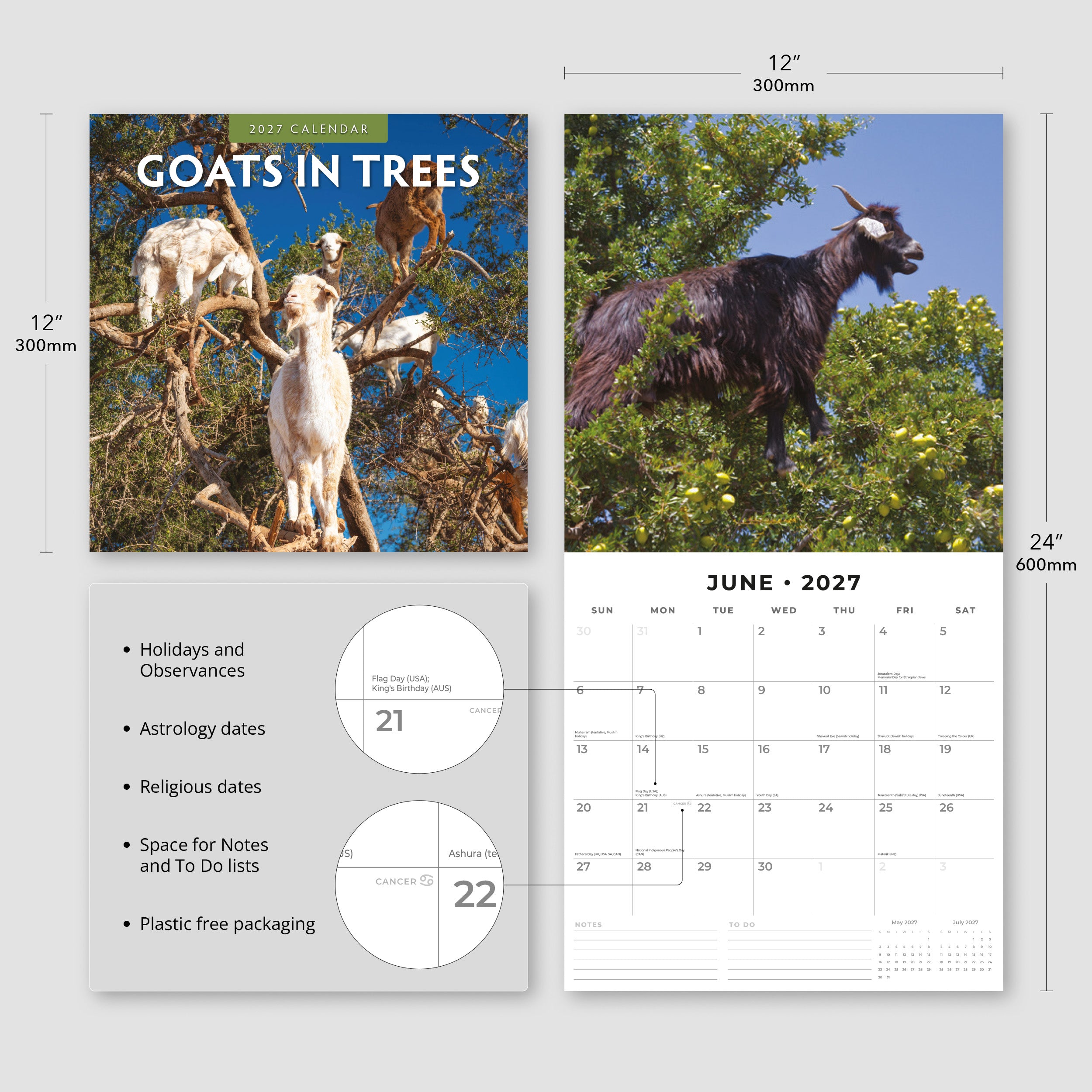 2027 Goats in Trees - Square Wall Calendar
