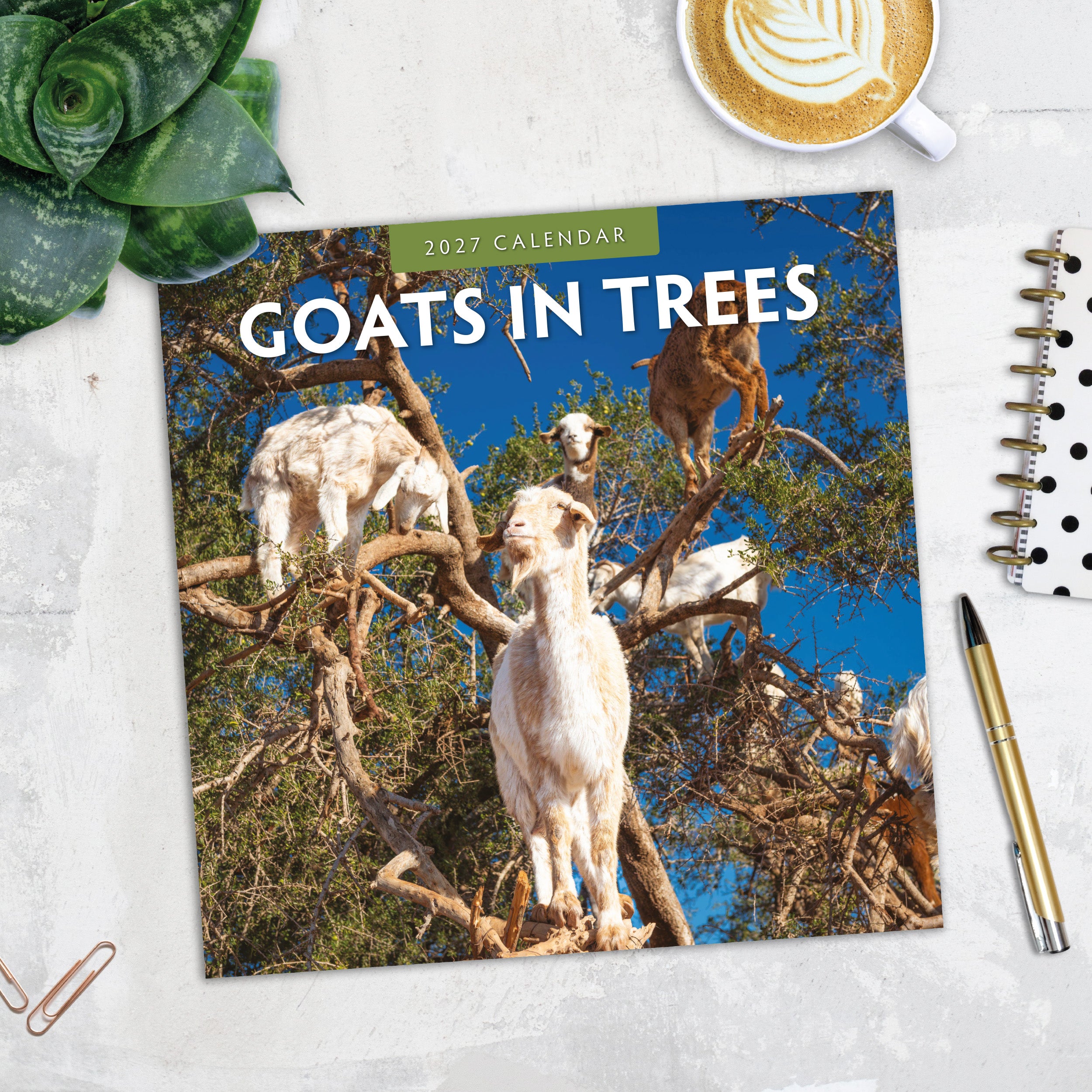 2027 Goats in Trees - Square Wall Calendar