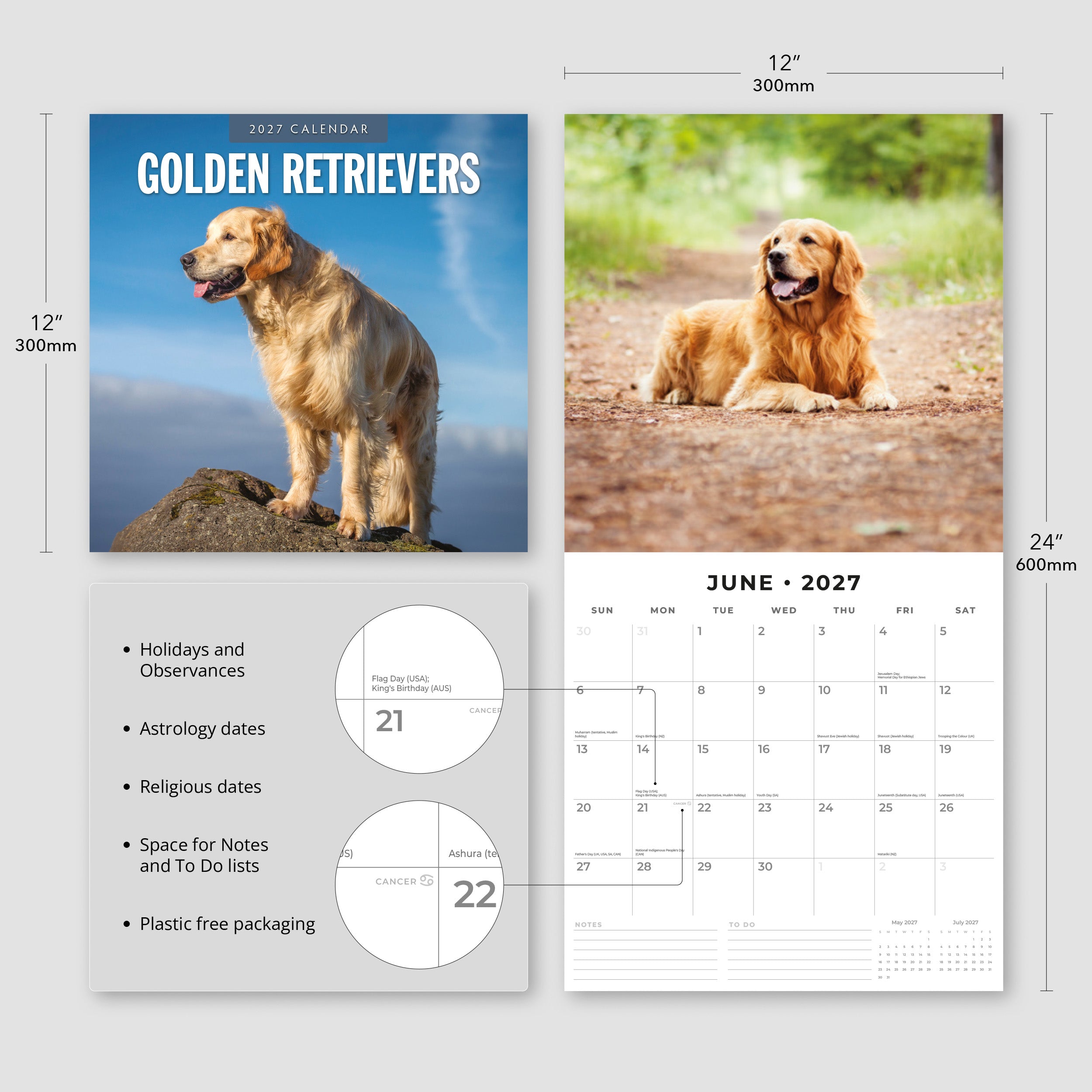 2027 Golden Retrievers - Square Wall Calendar