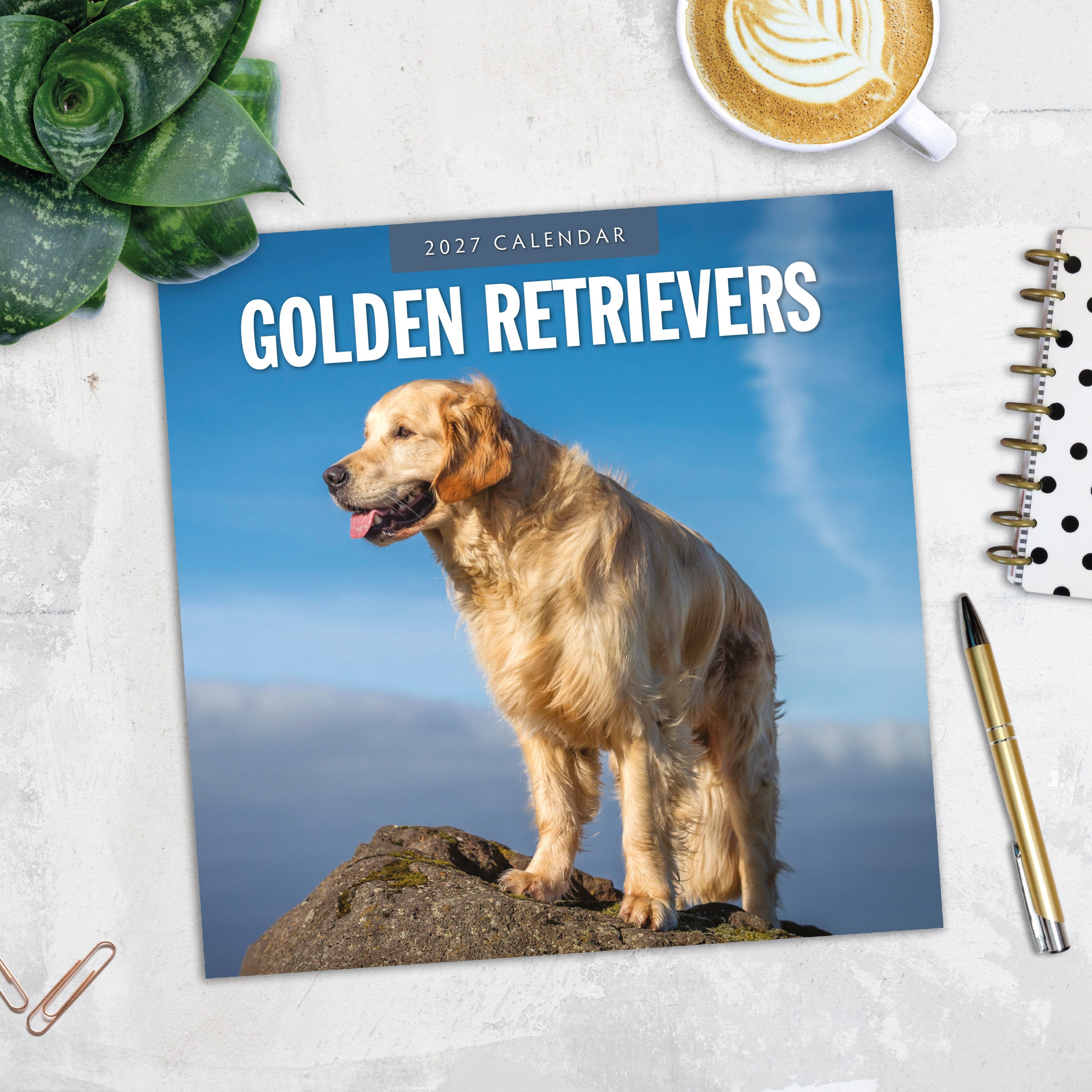 2027 Golden Retrievers - Square Wall Calendar