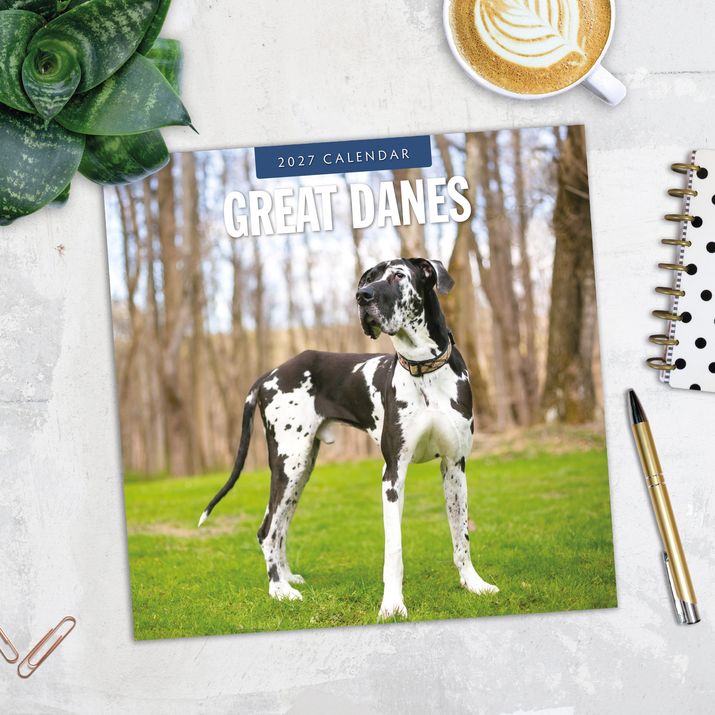 2027 Great Danes - Square Wall Calendar
