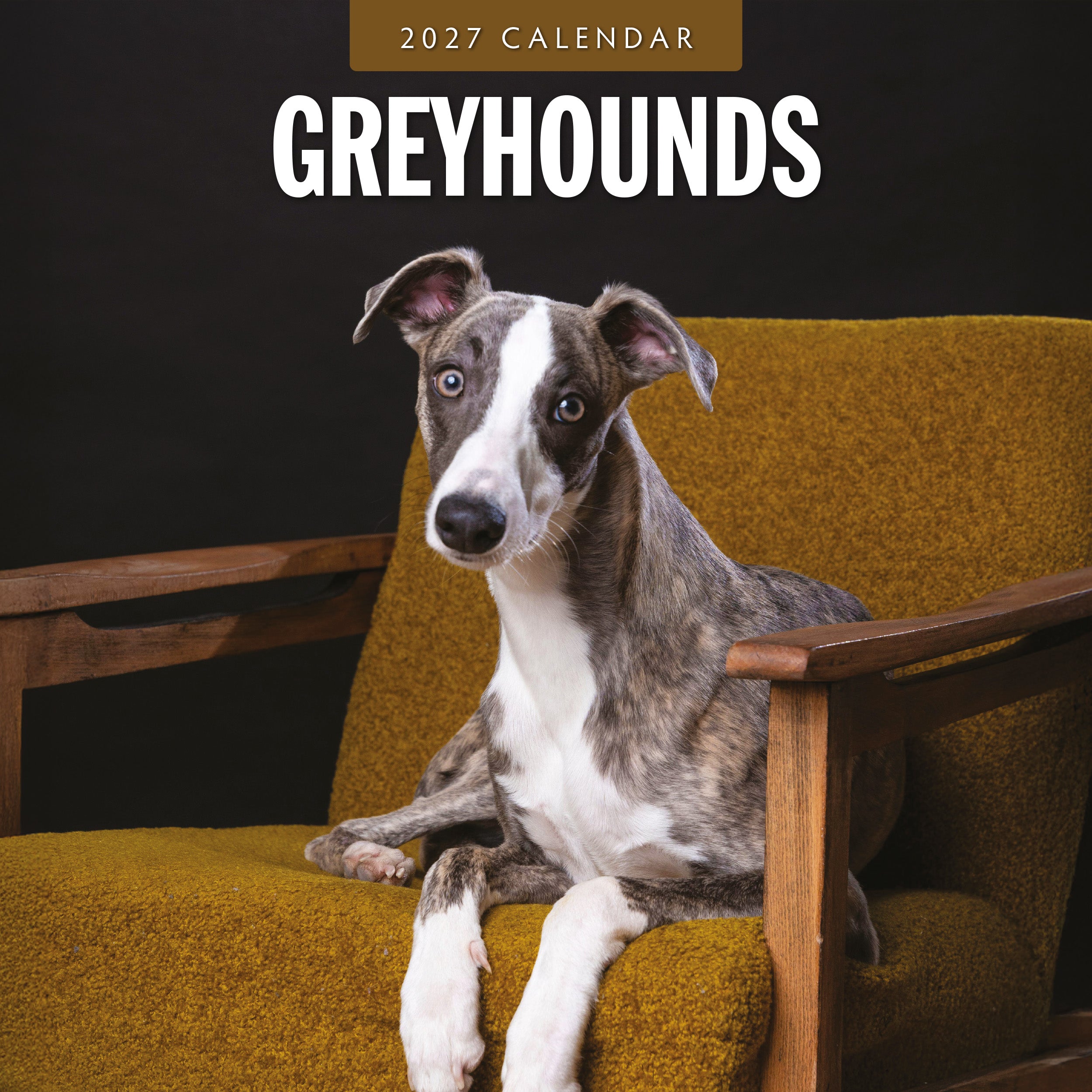 2027 Greyhounds - Square Wall Calendar