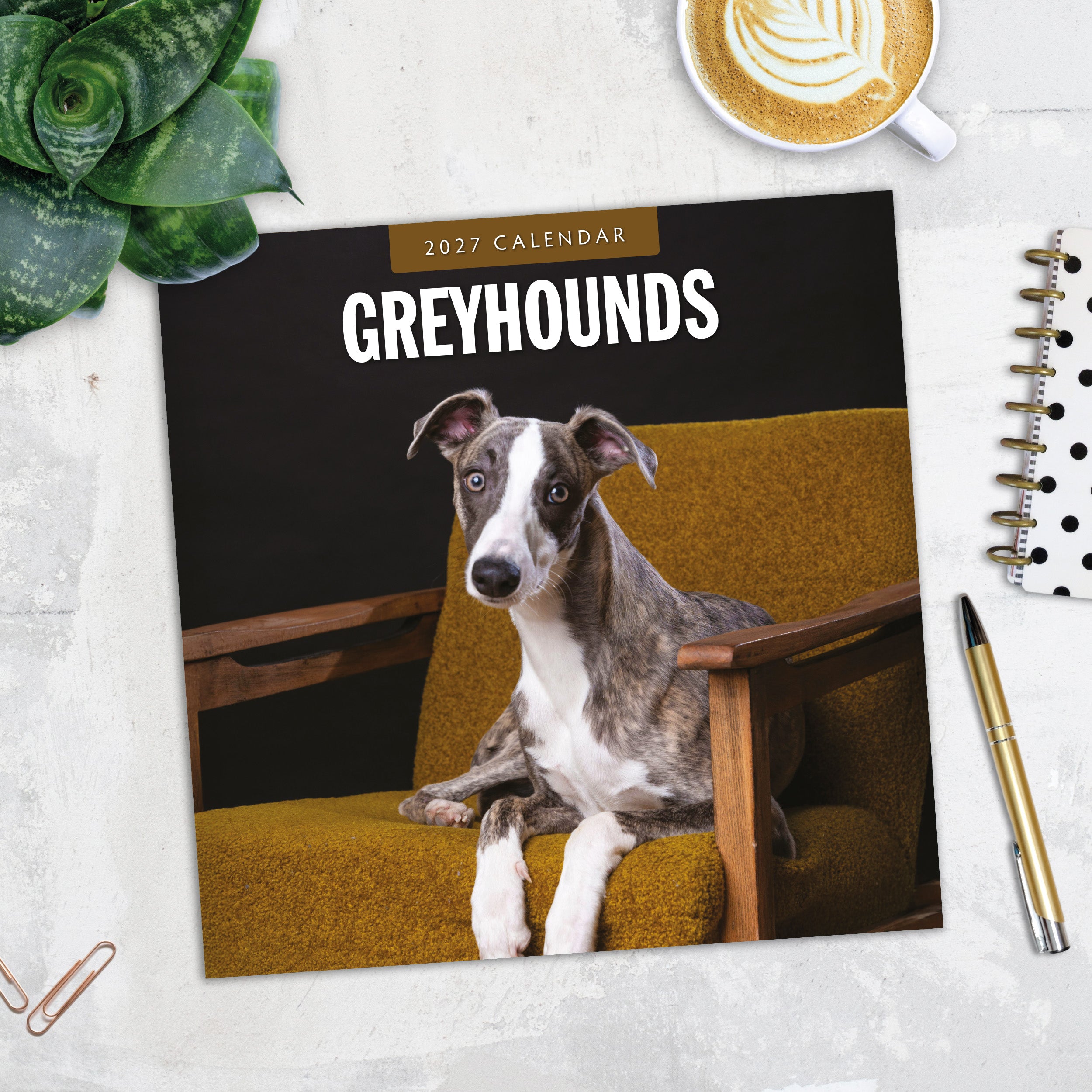 2027 Greyhounds - Square Wall Calendar
