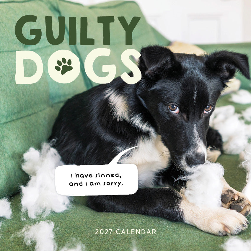 2027 Guilty Dogs - Square Wall Calendar