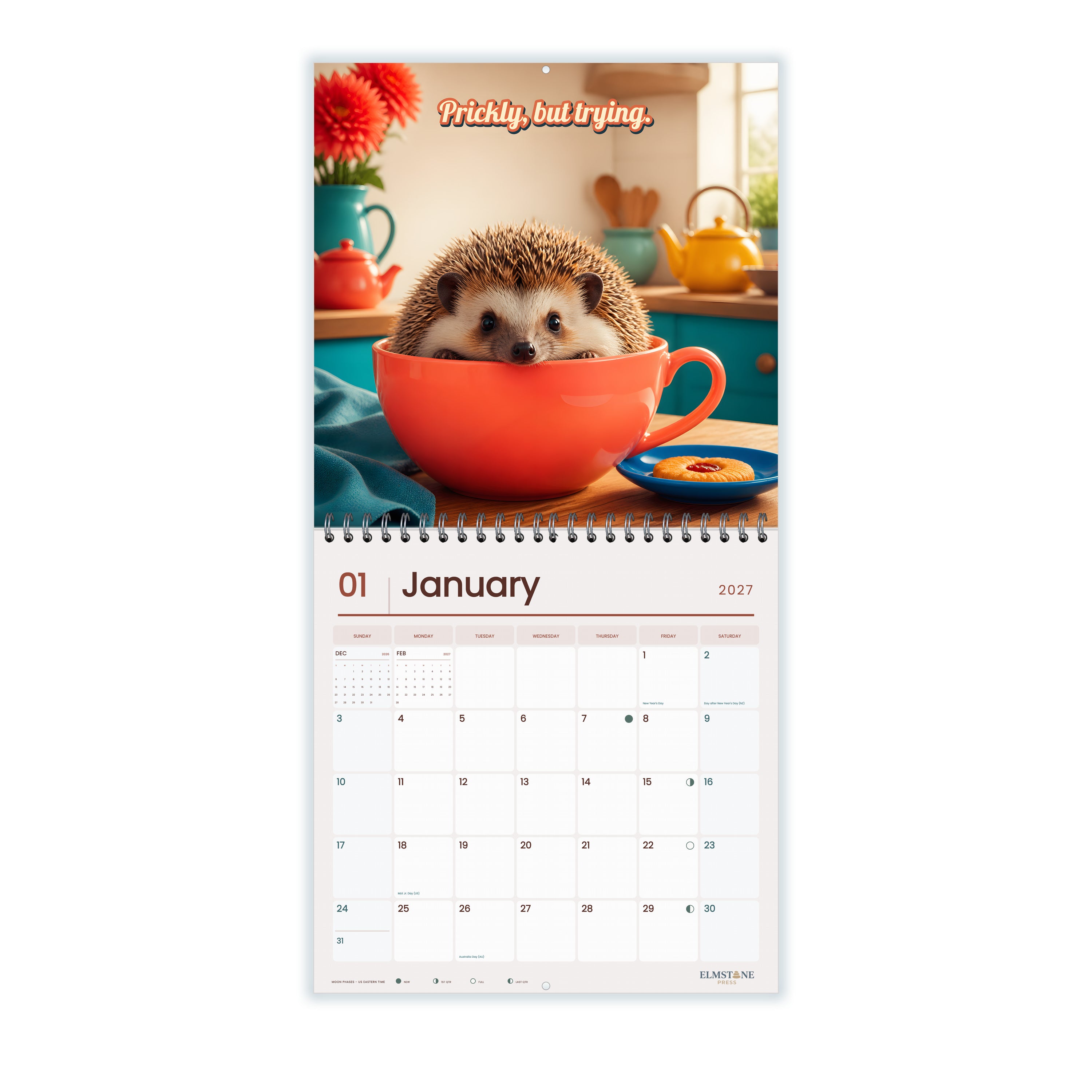 Hedgehogs_Prickly_but_Trying_-_649310202652_-_02-january-open-white.jpg