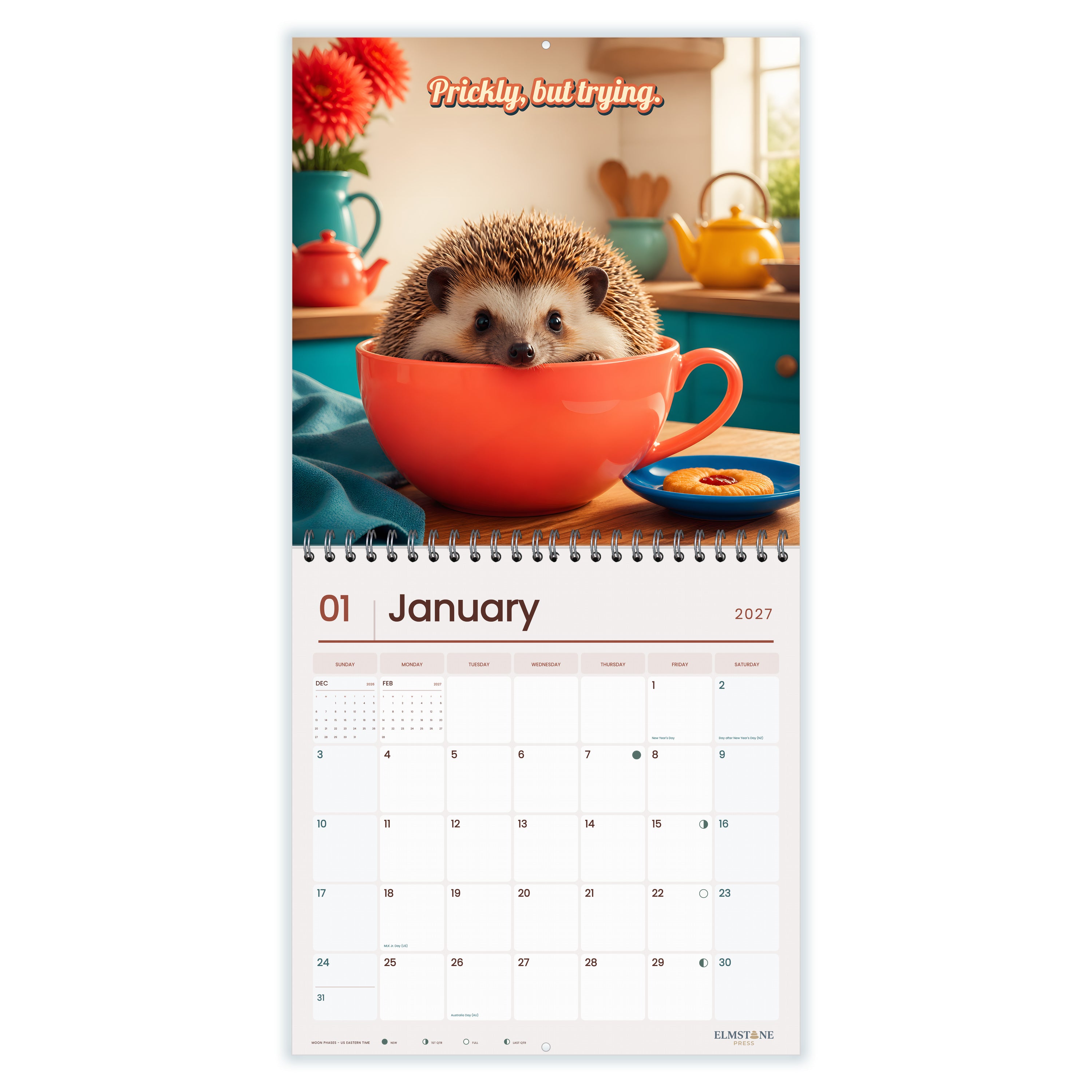 Hedgehogs_Prickly_but_Trying_-_649310202652_-_02-january-open-white.jpg