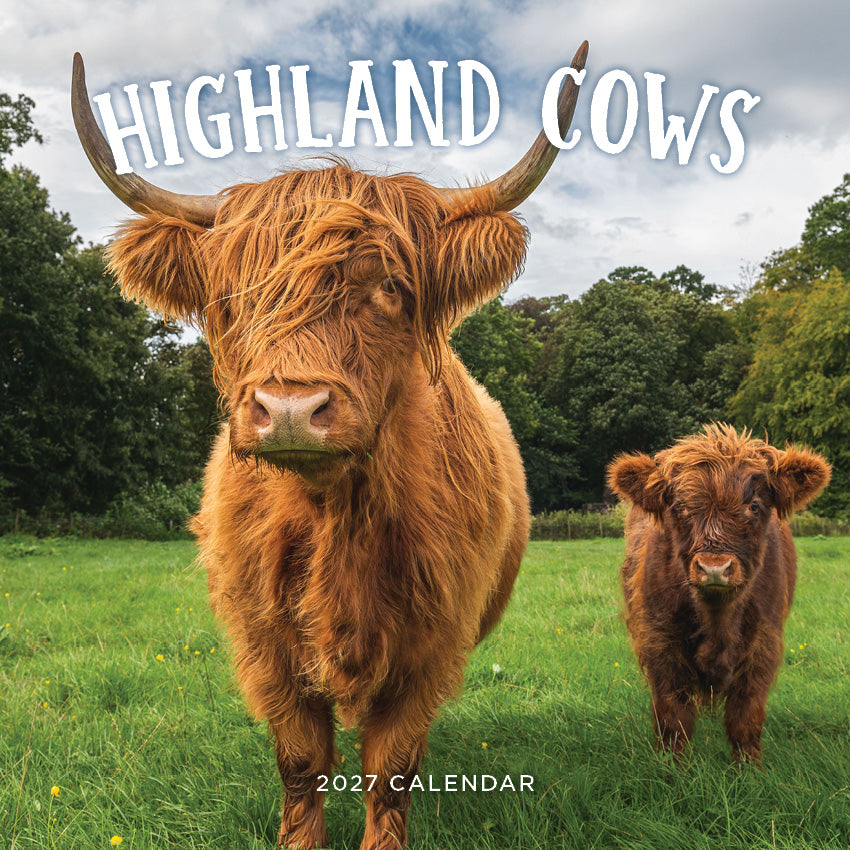 2027 Highland Cows - Square Wall Calendar