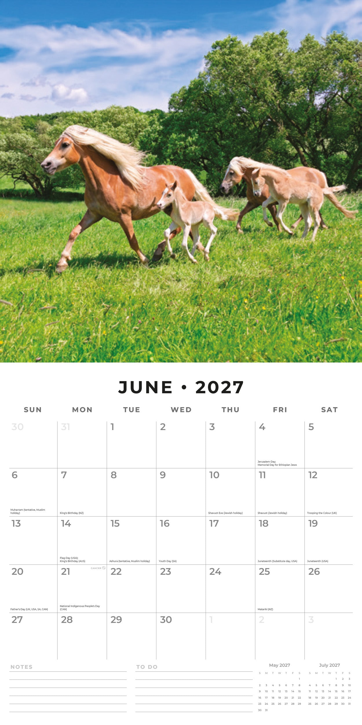2027 Horses - Square Wall Calendar
