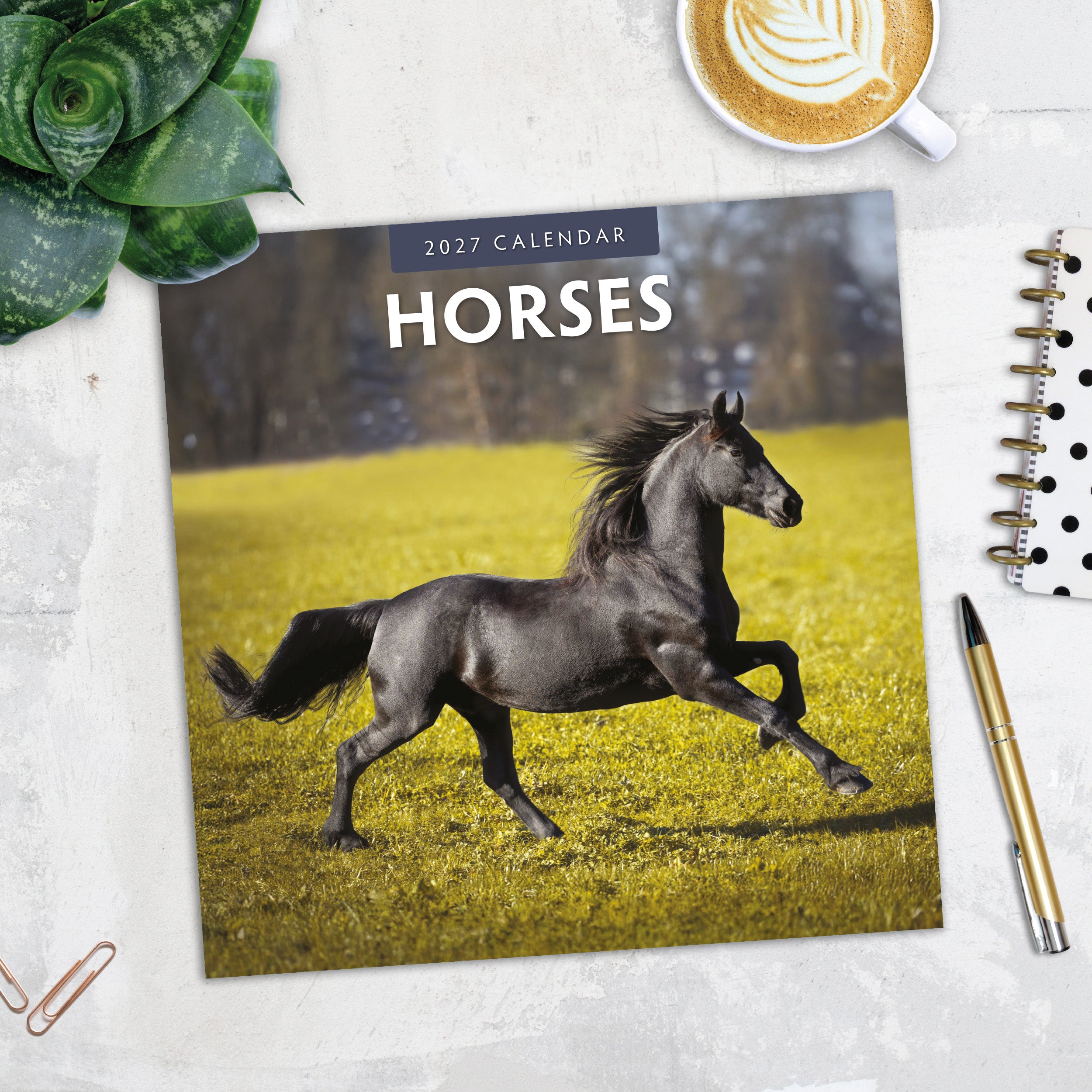 2027 Horses - Square Wall Calendar