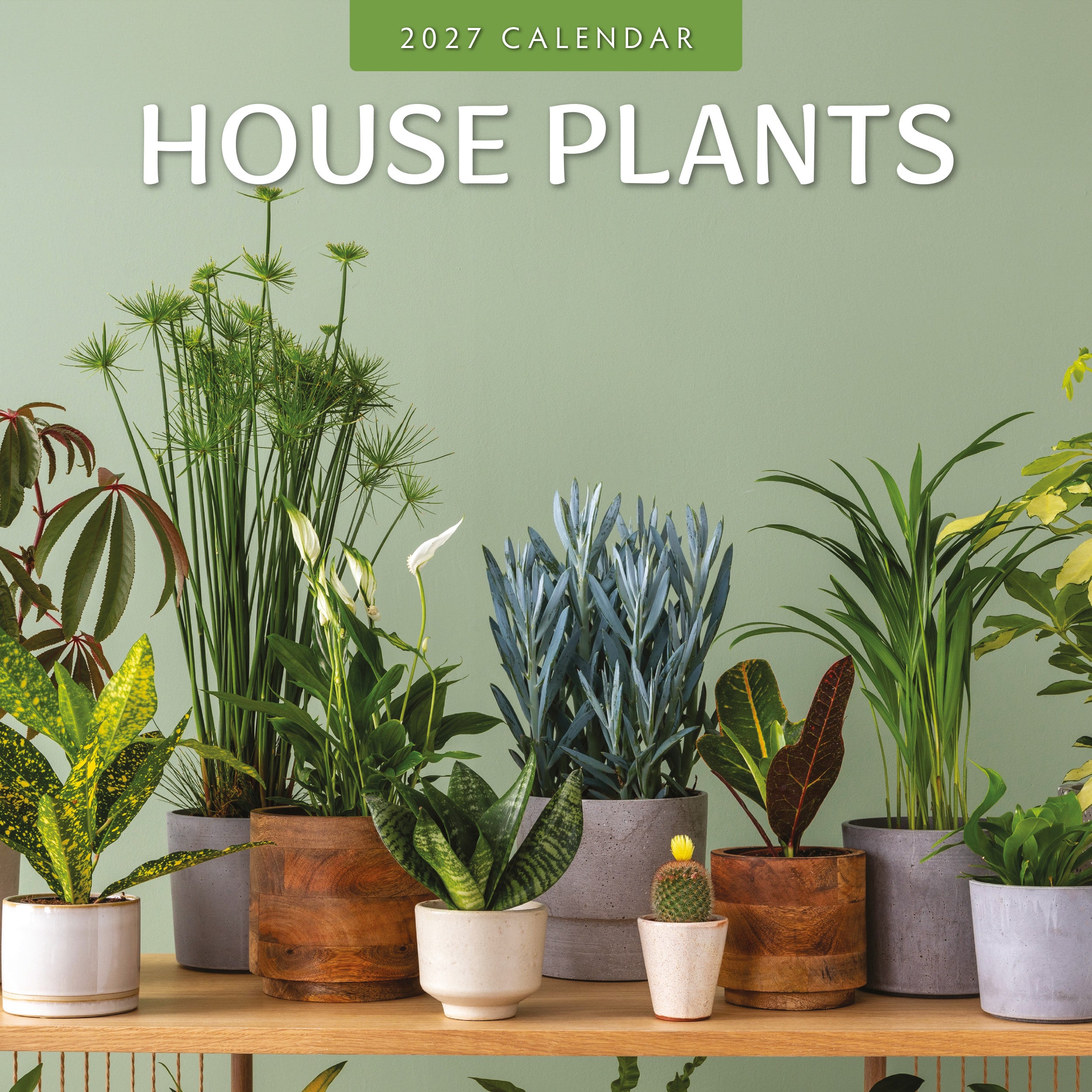 2027 House Plants - Square Wall Calendar