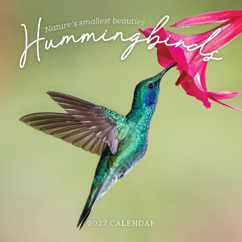 2027 Hummingbirds  - Square Wall Calendar