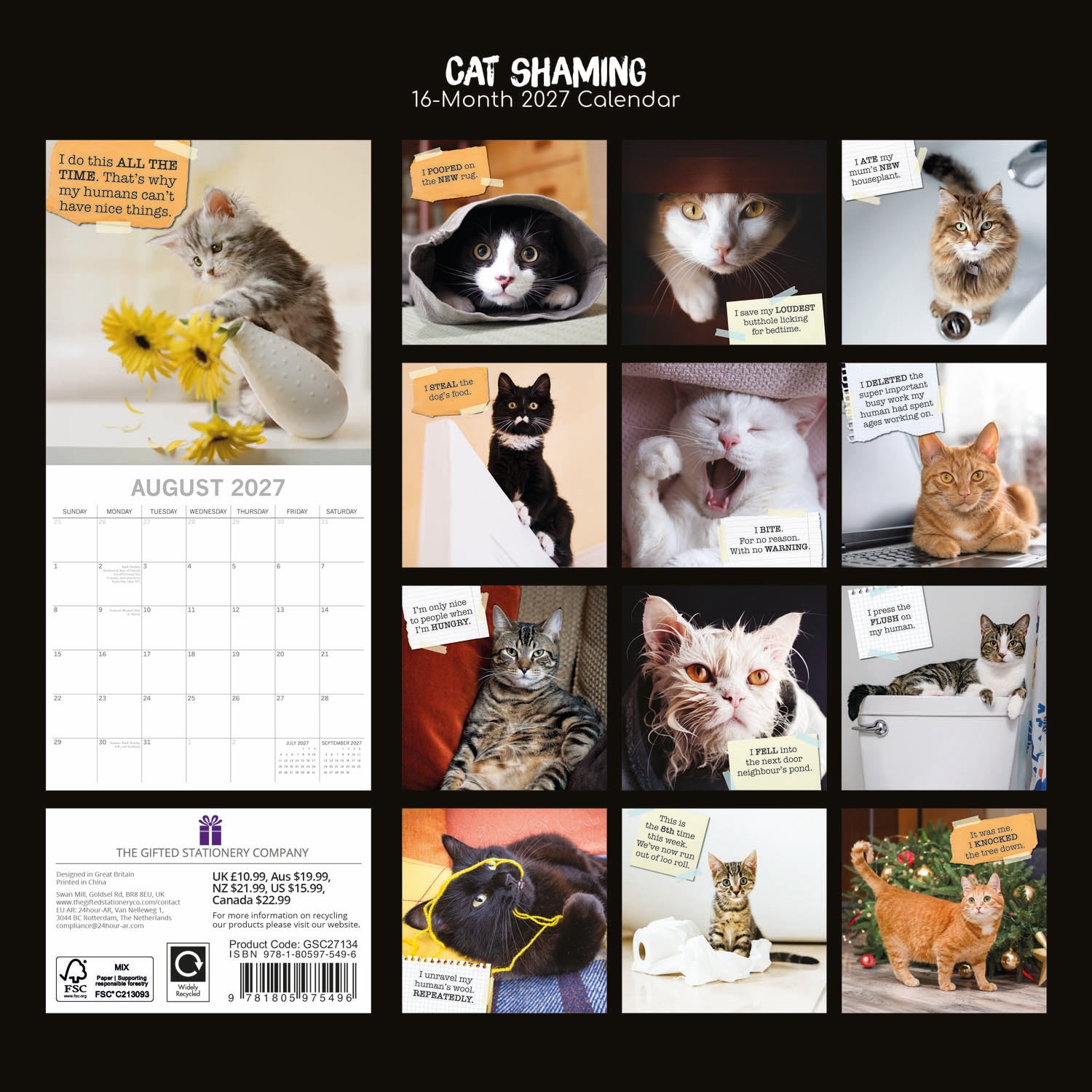 Humour_Cat_Shaming_2027_Back.jpg