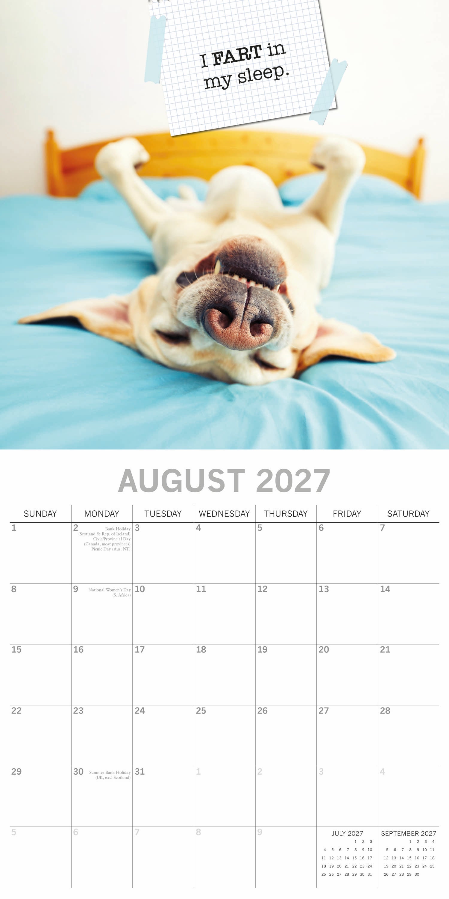 Humour_Dog_Shaming_2027_Aug.jpg