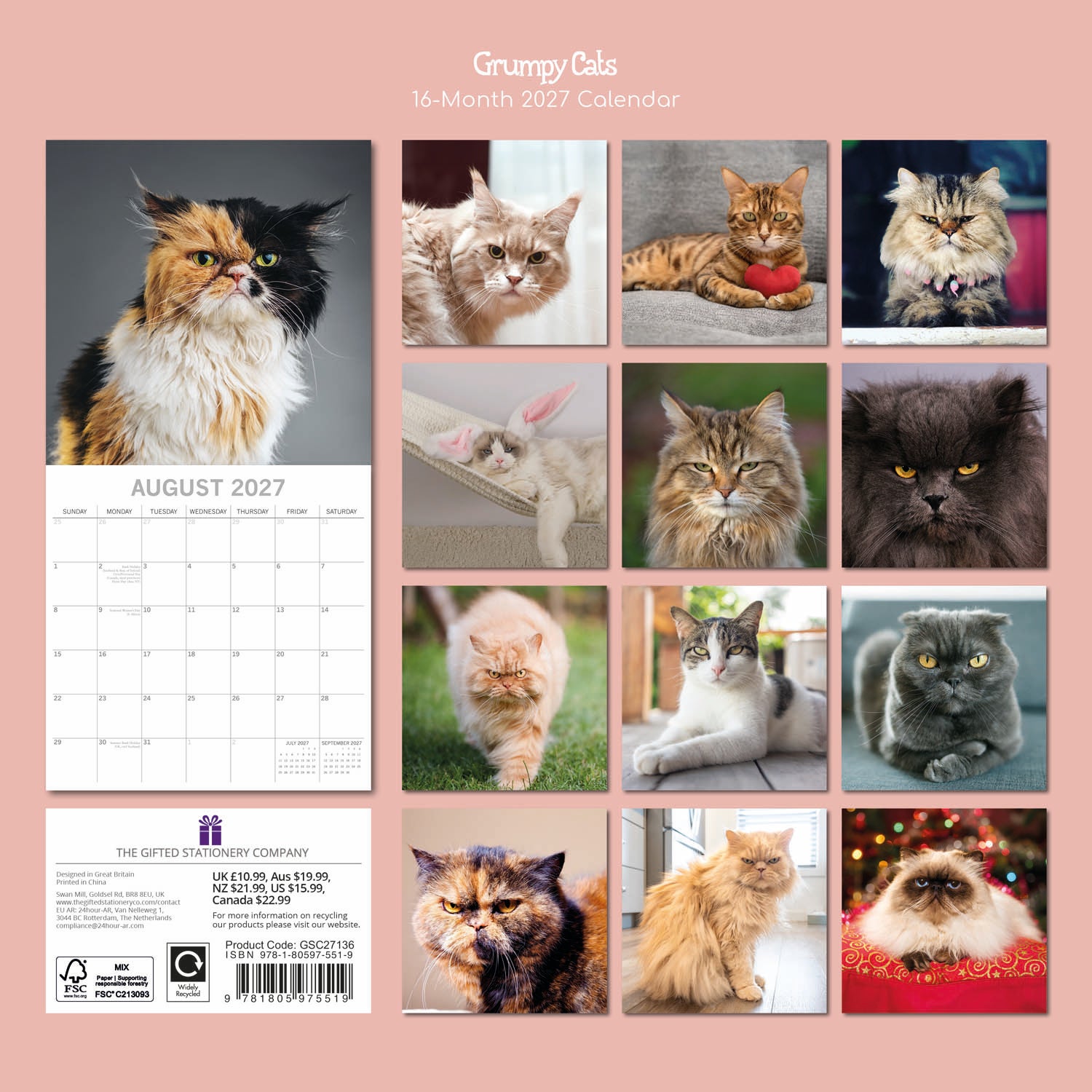 Humour_Grumpy_Cats_2027_Back.jpg