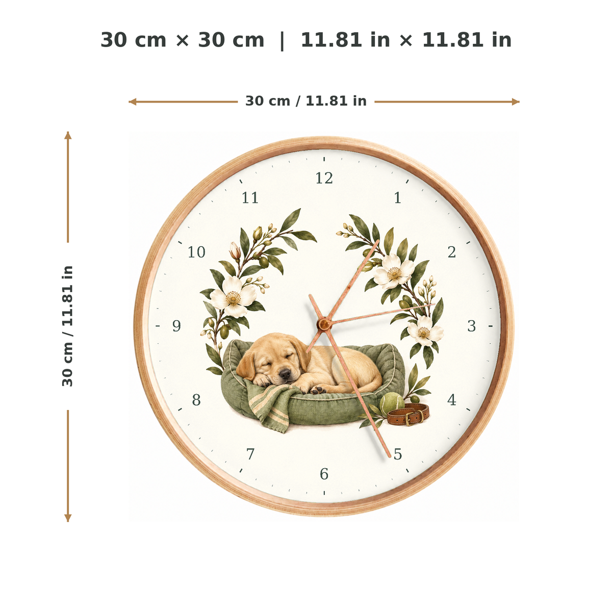 IMAGE_05_Measurements_-_Sleeping_Labrador_Wall_Clock_30cm_Wooden_Frame_-_WC-D030_-_649310203789.png