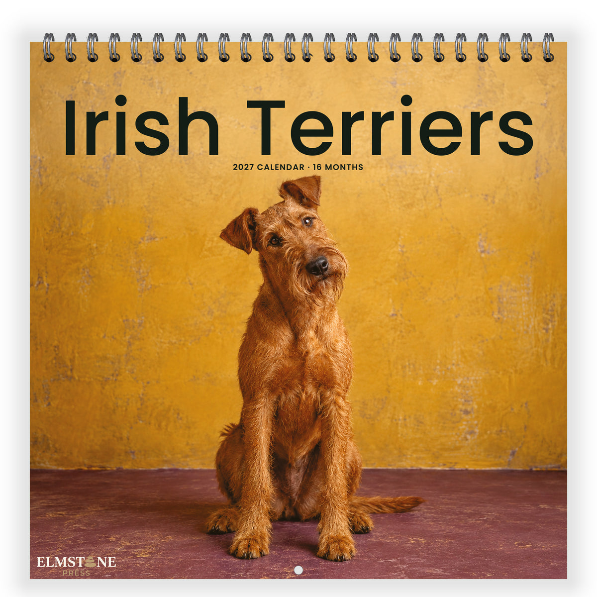 Irish_Terriers_-_649310203383_-_01-front-cover-white.jpg