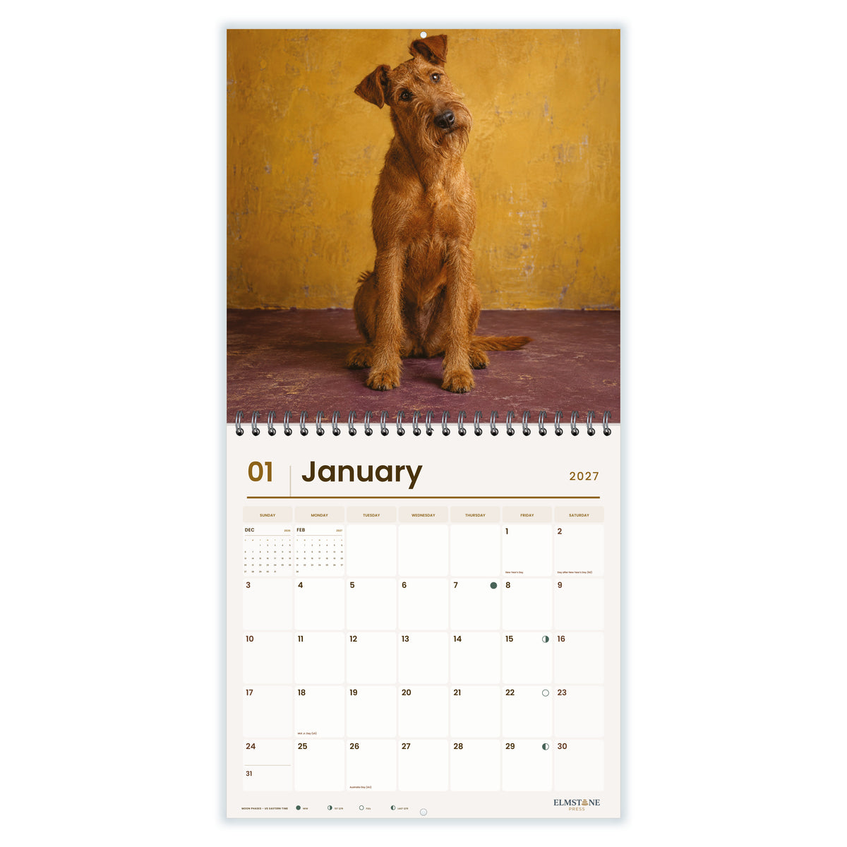 Irish_Terriers_-_649310203383_-_02-january-open-white.jpg