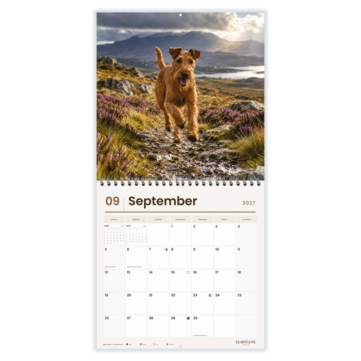 Irish_Terriers_-_649310203383_-_04-september-open-white.jpg