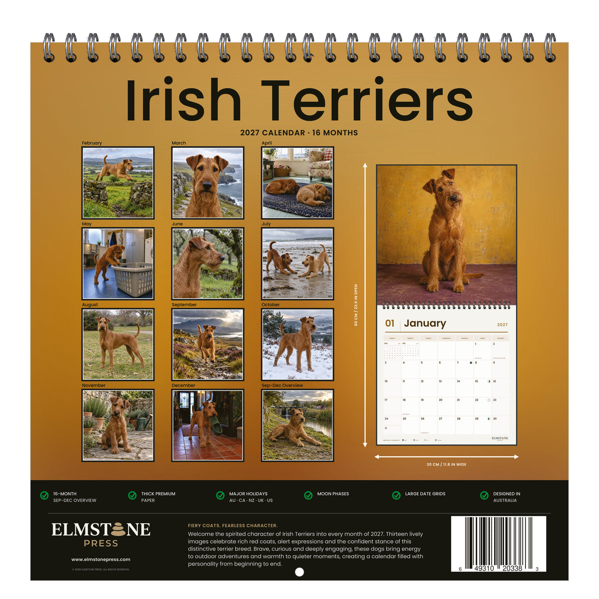 Irish_Terriers_-_649310203383_-_05-back-cover-white.jpg