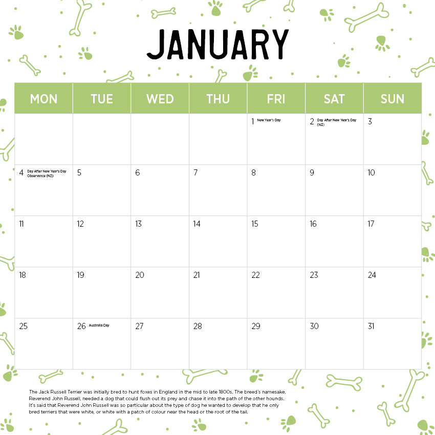 2027 Jack Russel Terrier - Square Wall Calendar