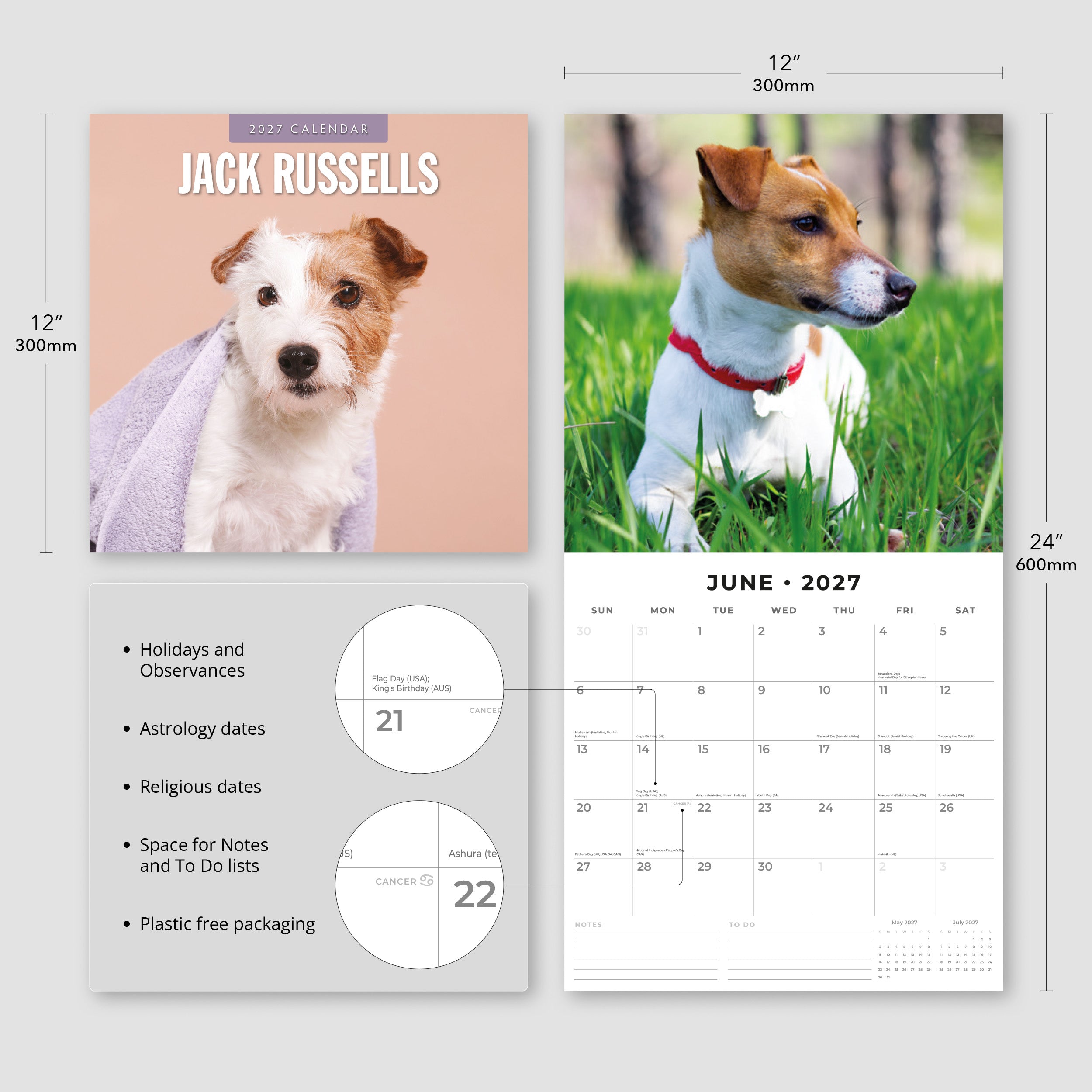 2027 Jack Russells - Square Wall Calendar