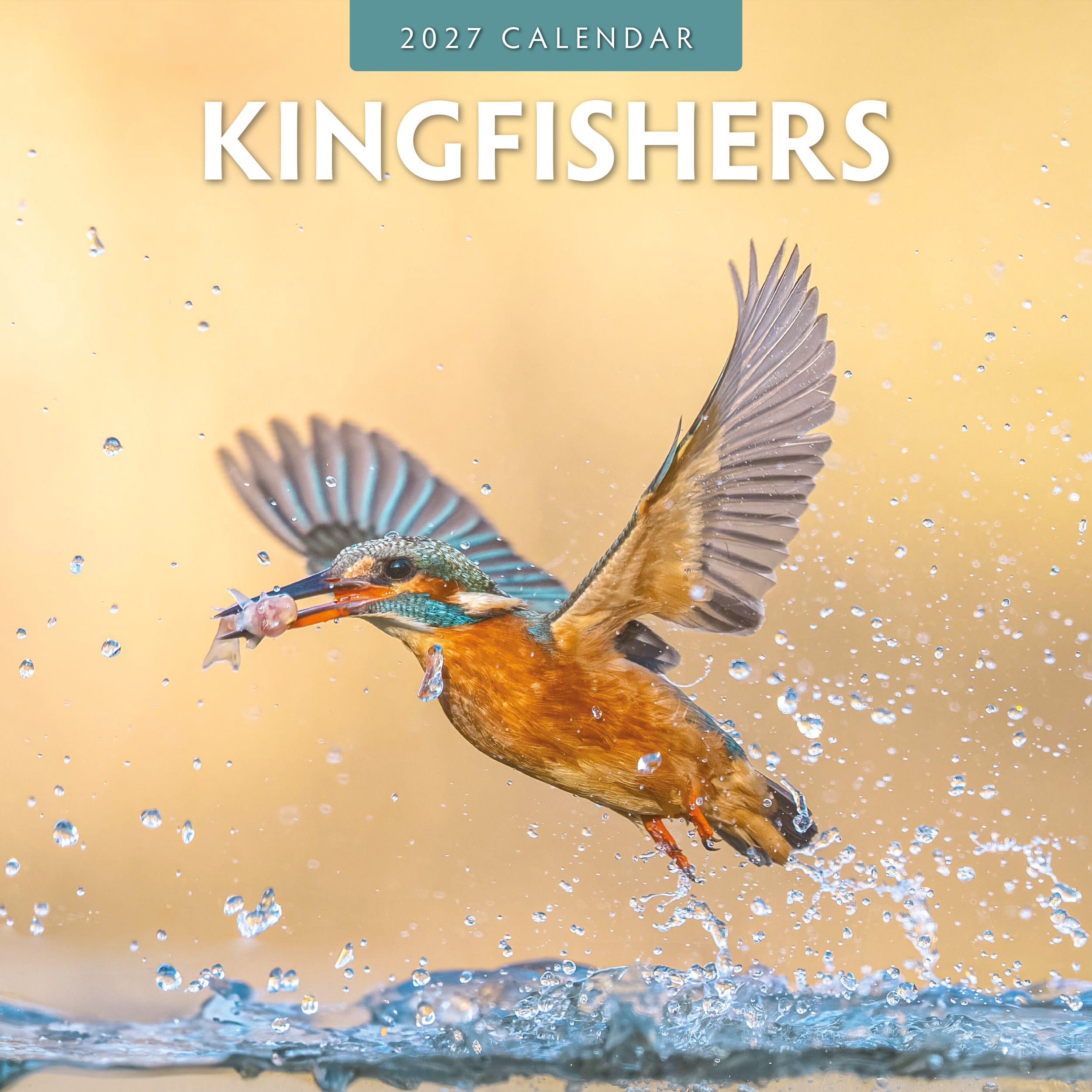 2027 Kingfishers - Square Wall Calendar