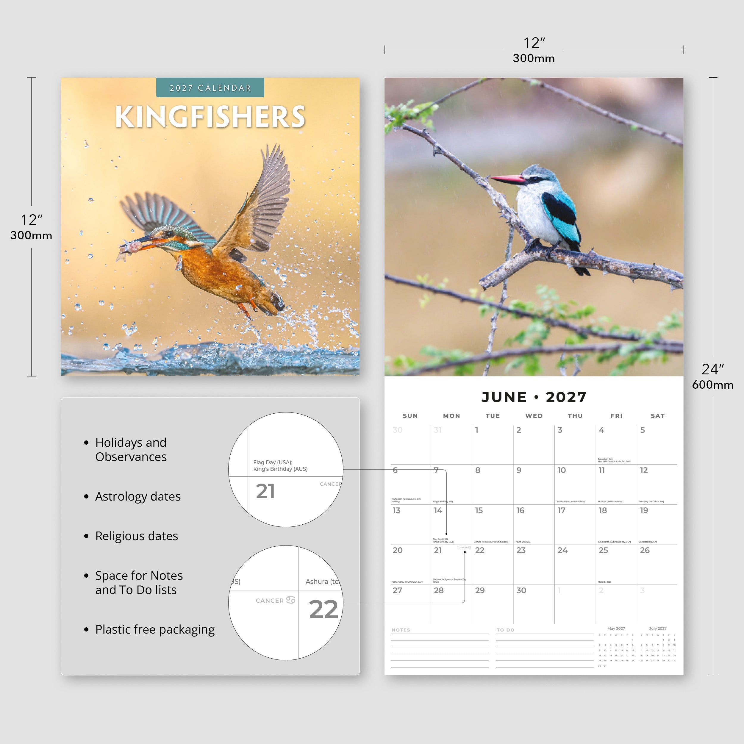 2027 Kingfishers - Square Wall Calendar