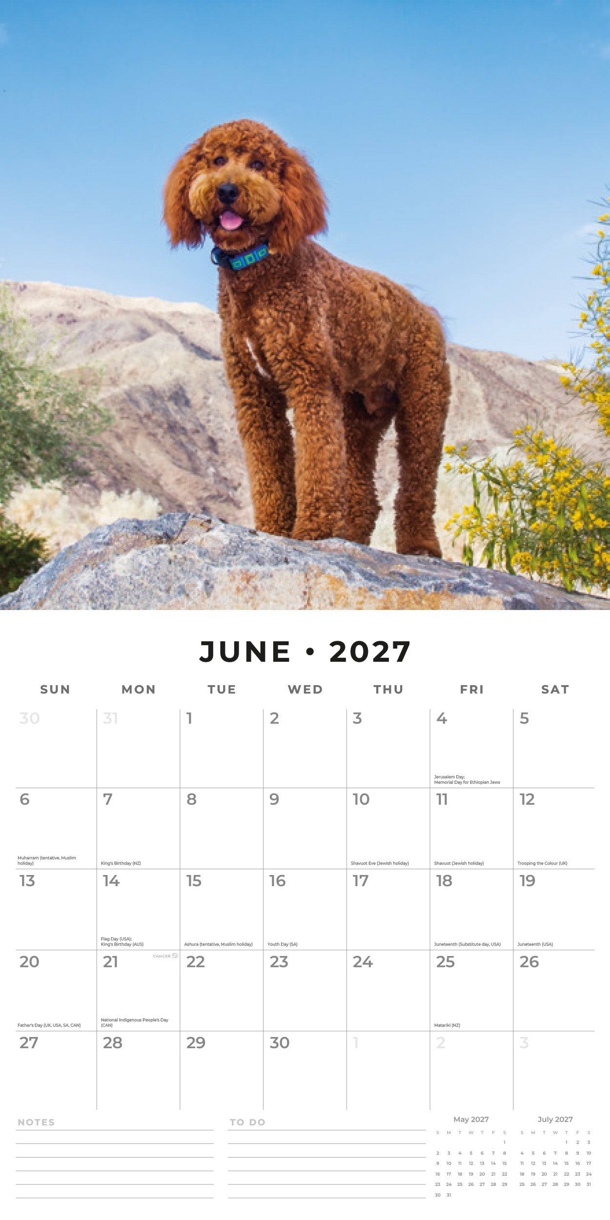2027 Labradoodles - Square Wall Calendar