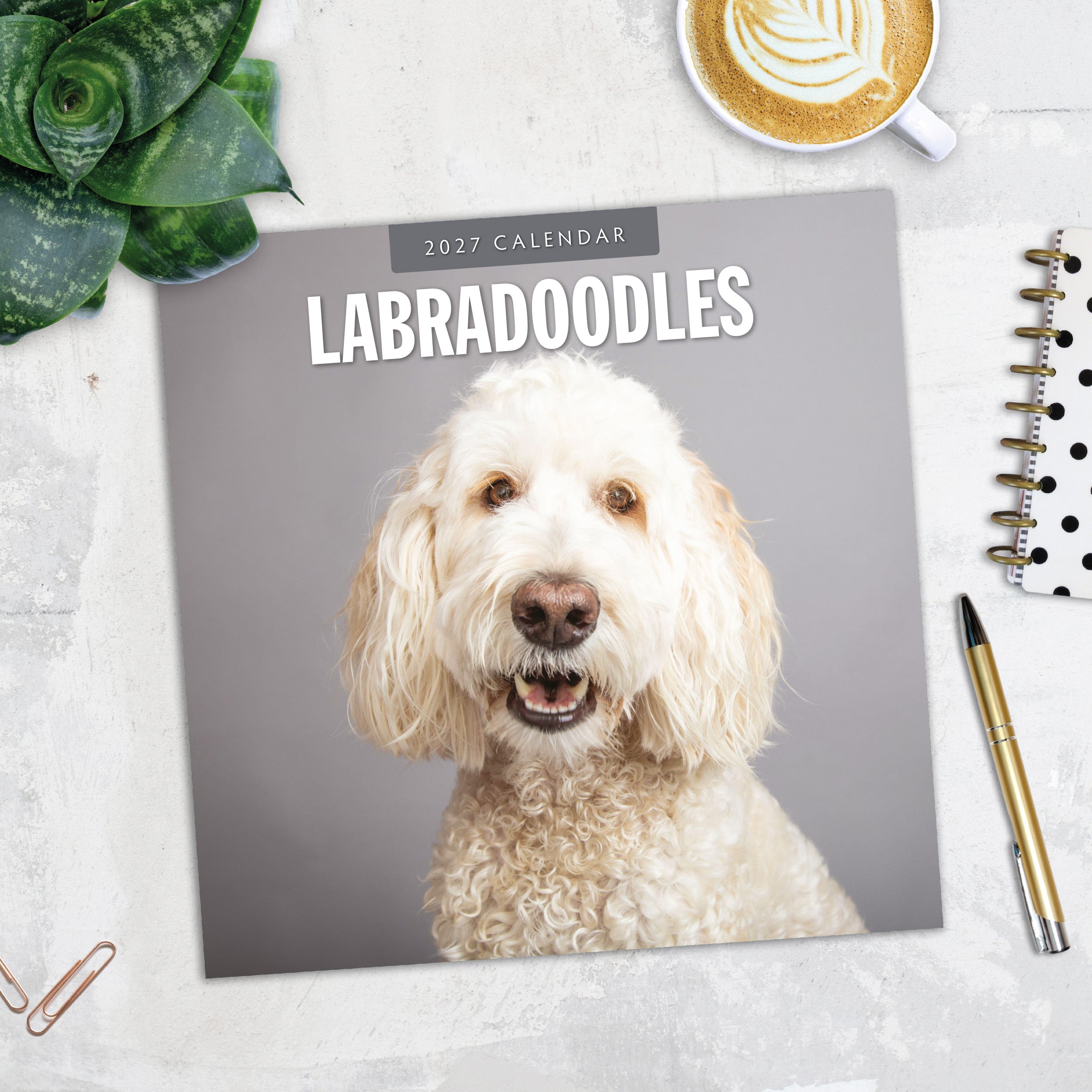 2027 Labradoodles - Square Wall Calendar