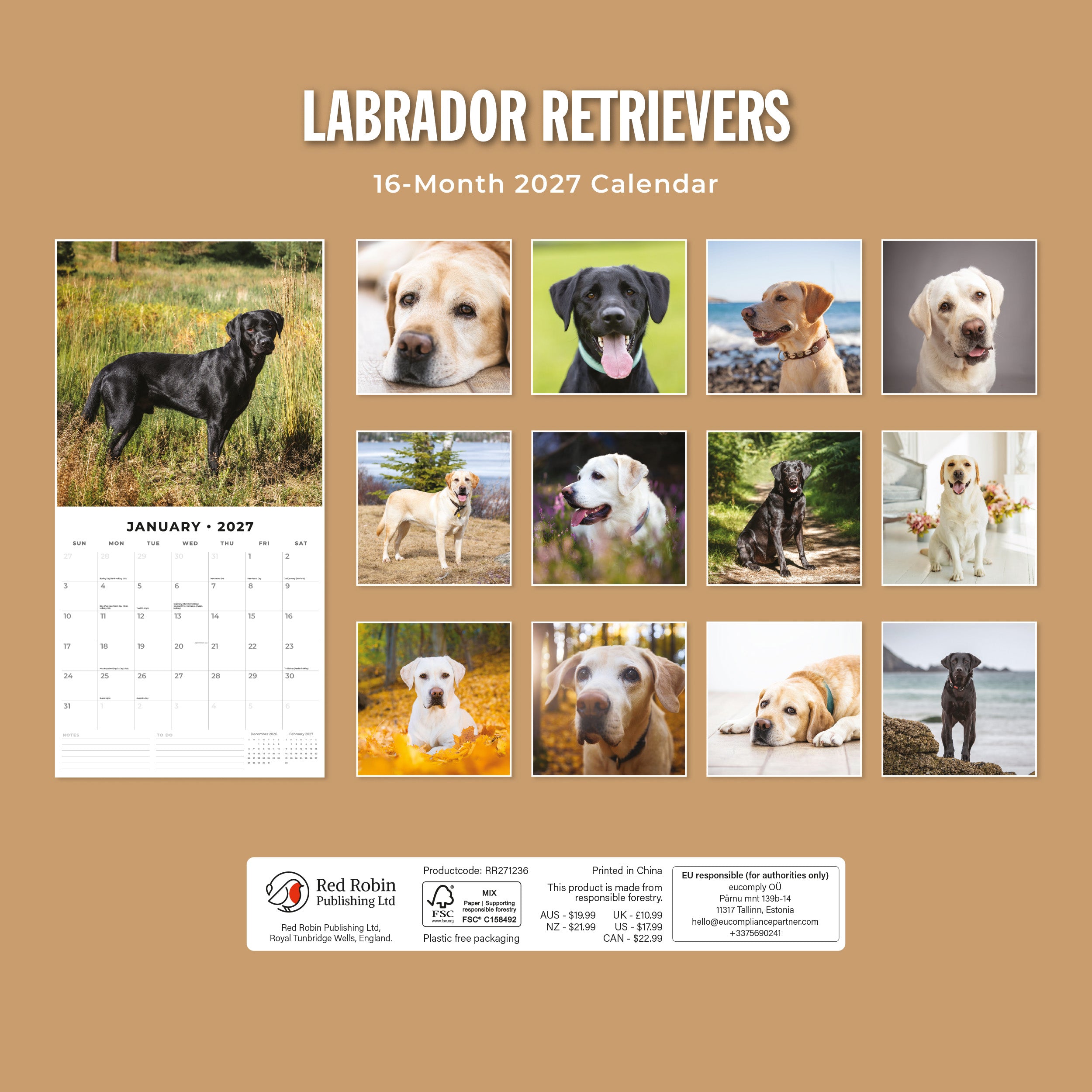 2027 Labrador Retrievers - Square Wall Calendar