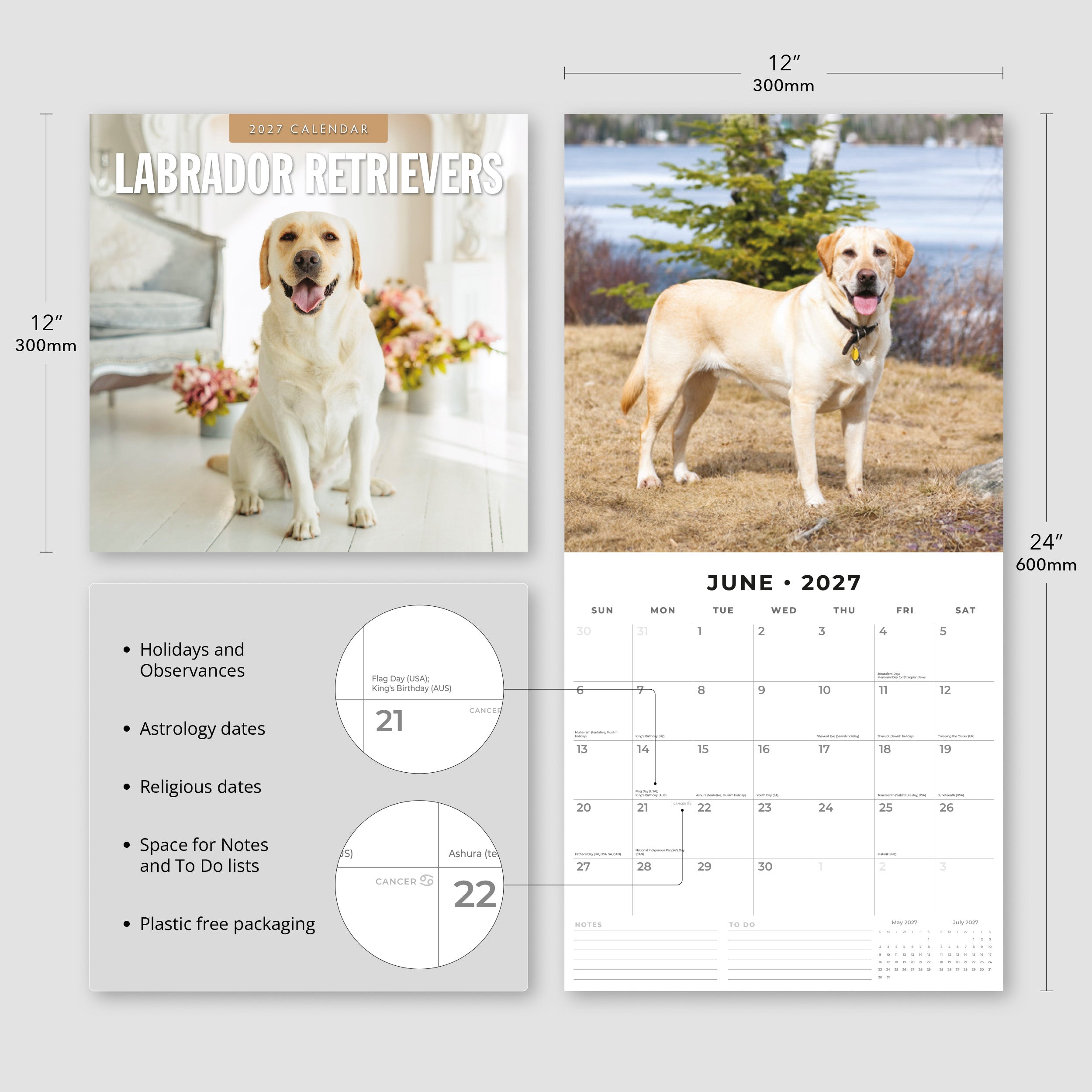 2027 Labrador Retrievers - Square Wall Calendar