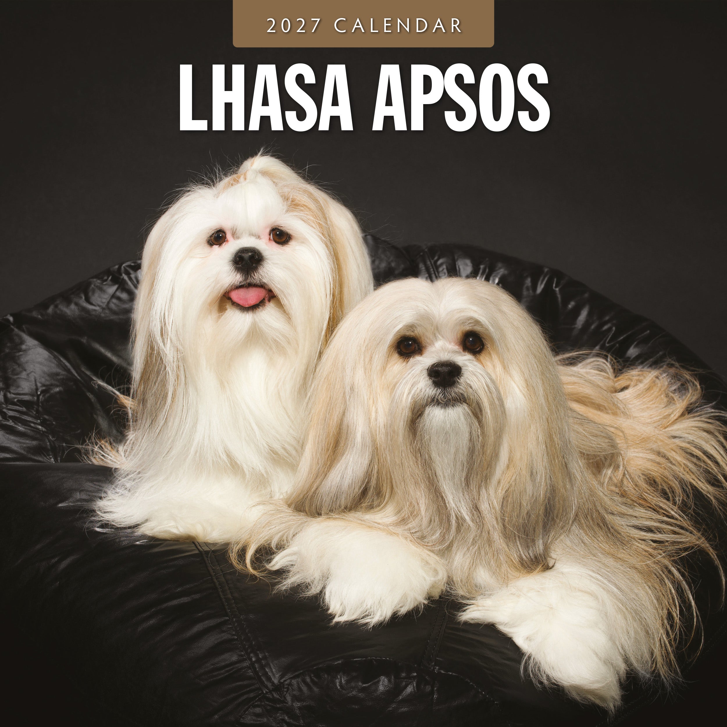 2027 Lhasa Apsos - Square Wall Calendar