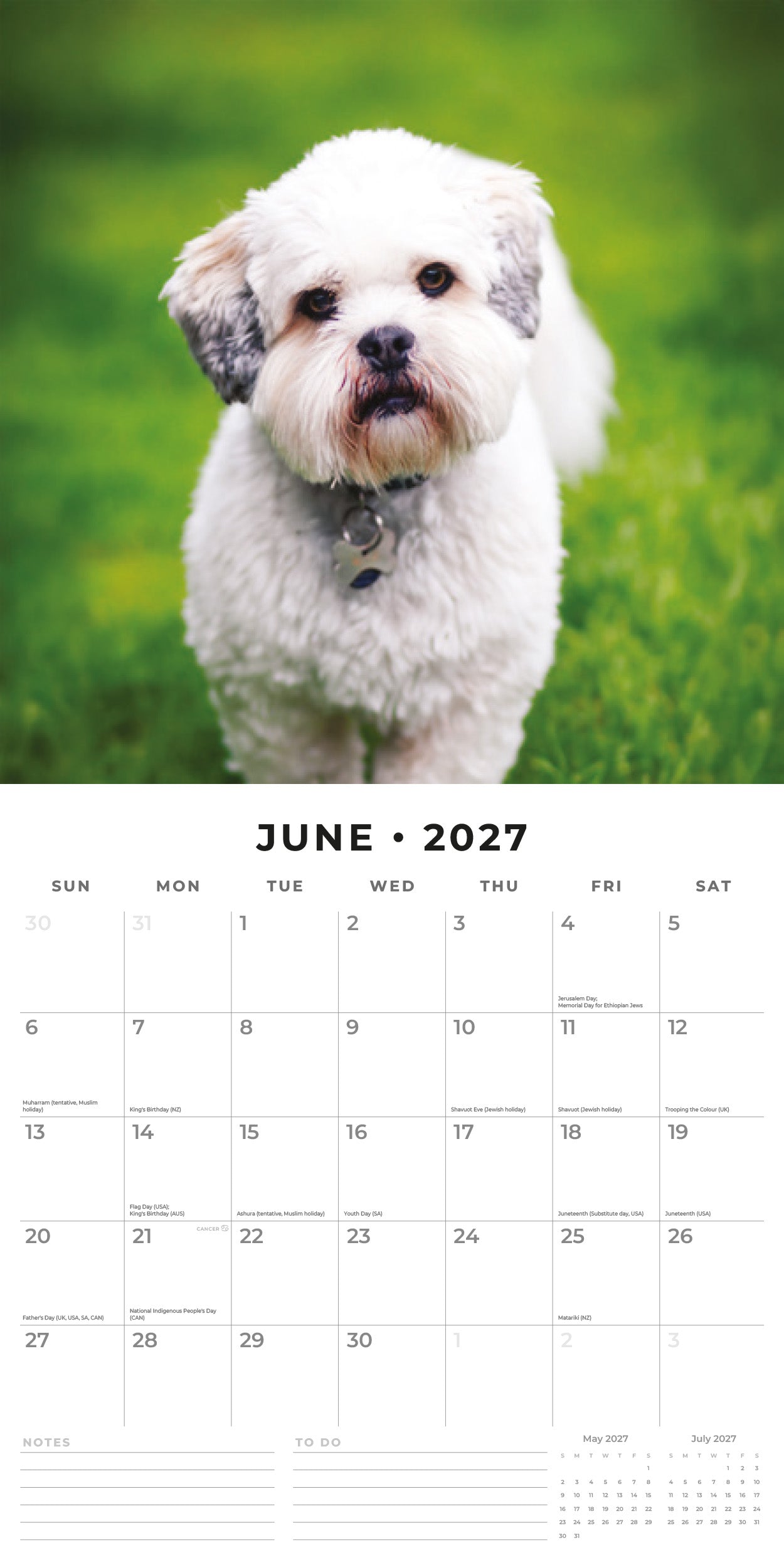 2027 Lhasa Apsos - Square Wall Calendar