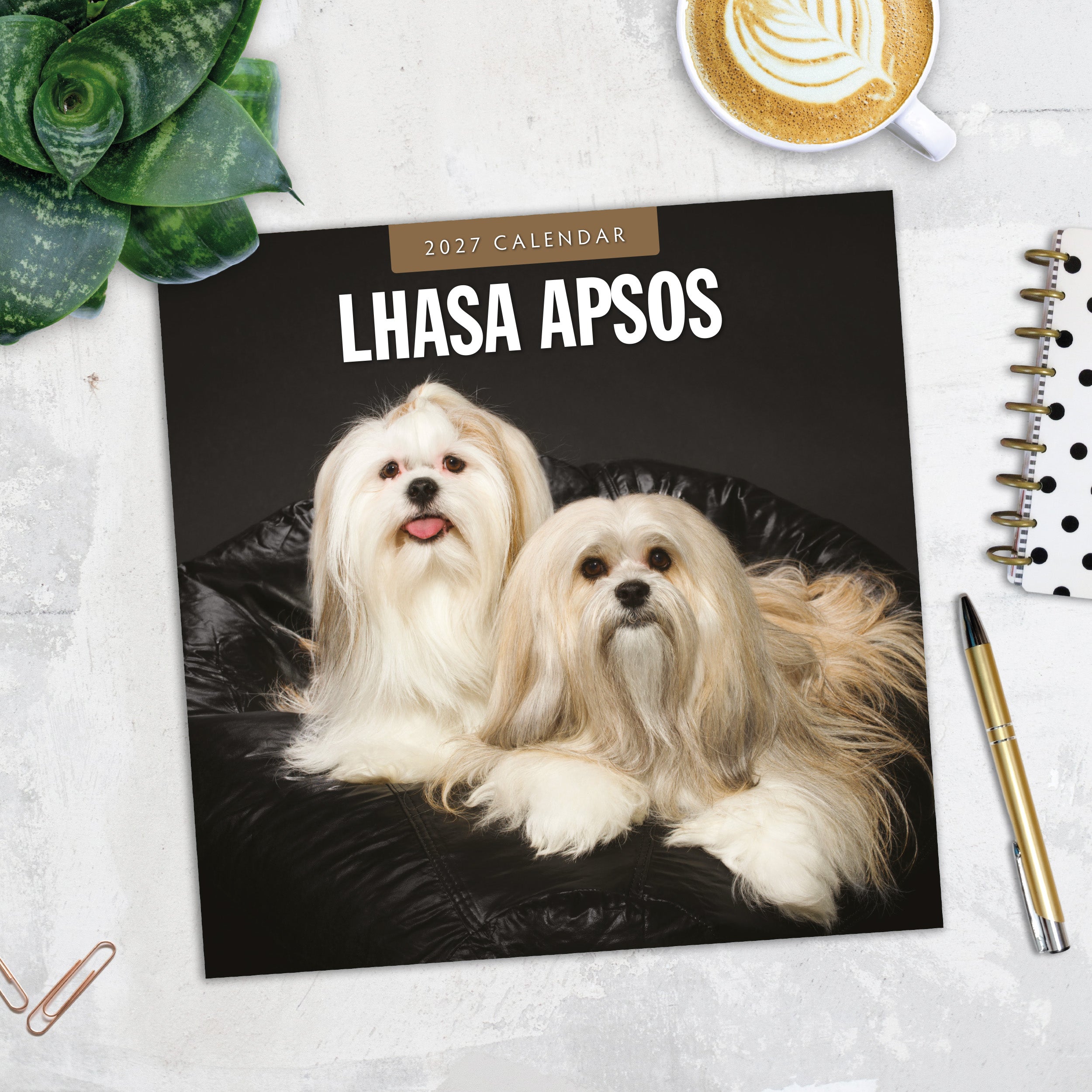 2027 Lhasa Apsos - Square Wall Calendar