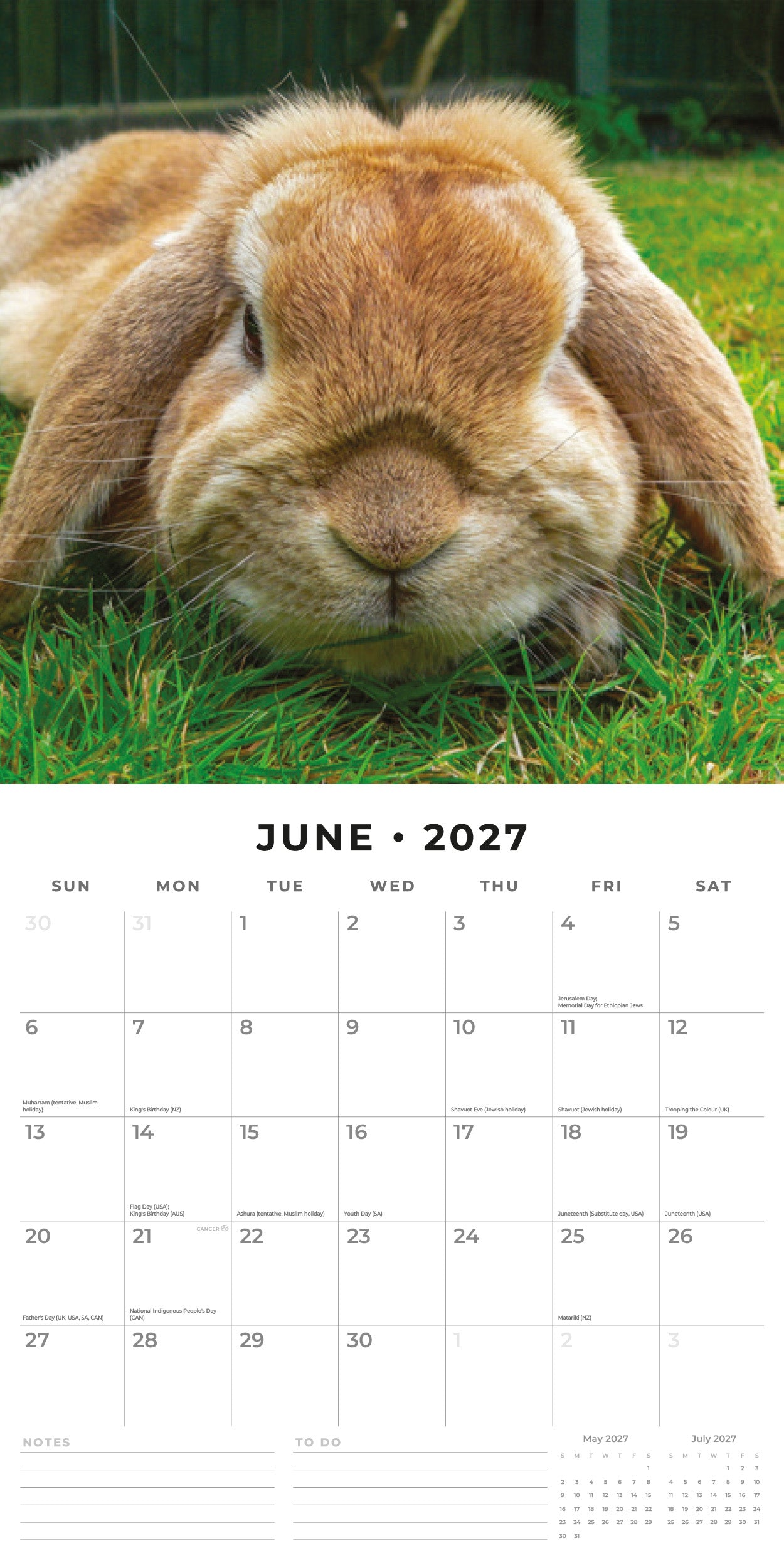 2027 Long Eared Rabbits - Square Wall Calendar