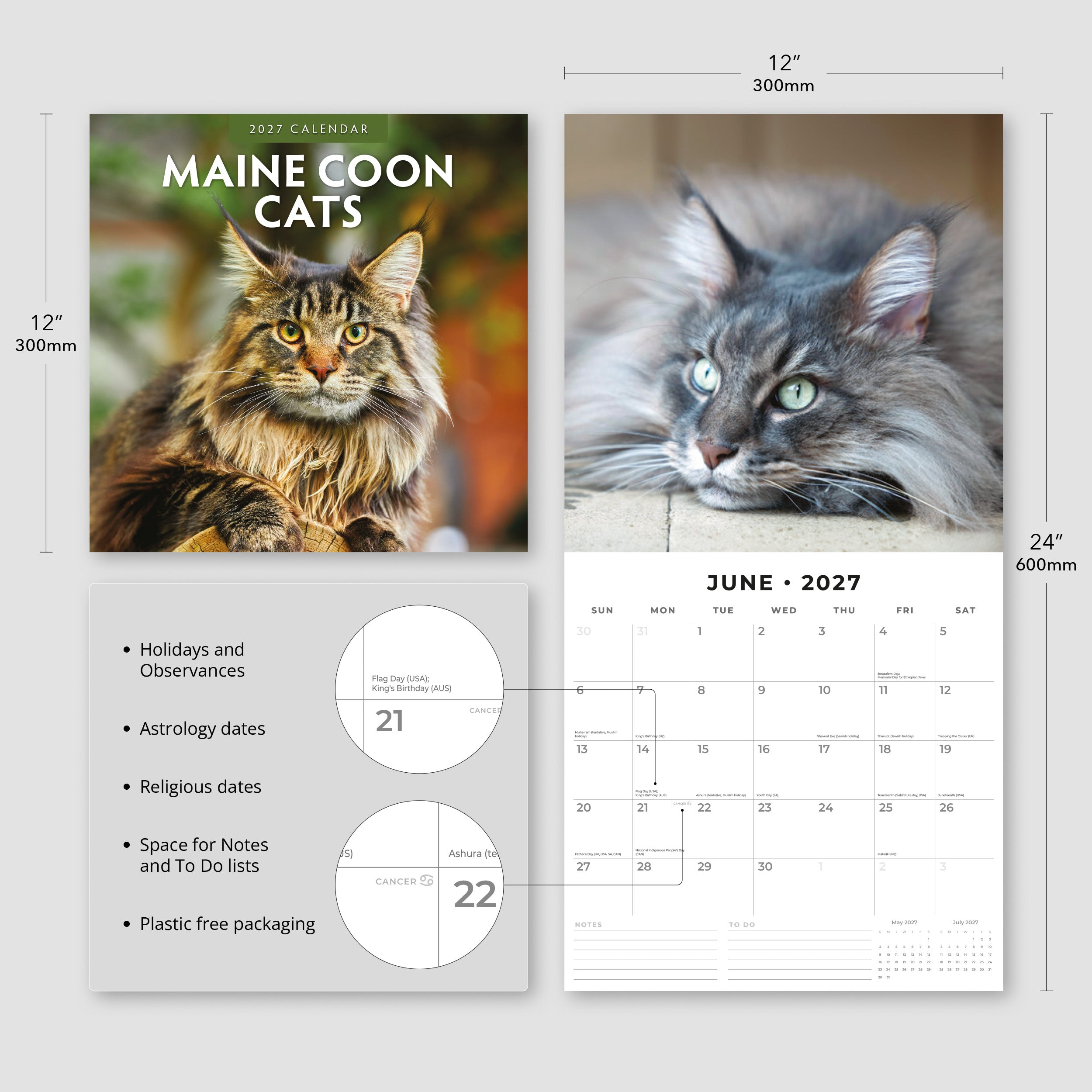 2027 Maine Coon Cats - Square Wall Calendar