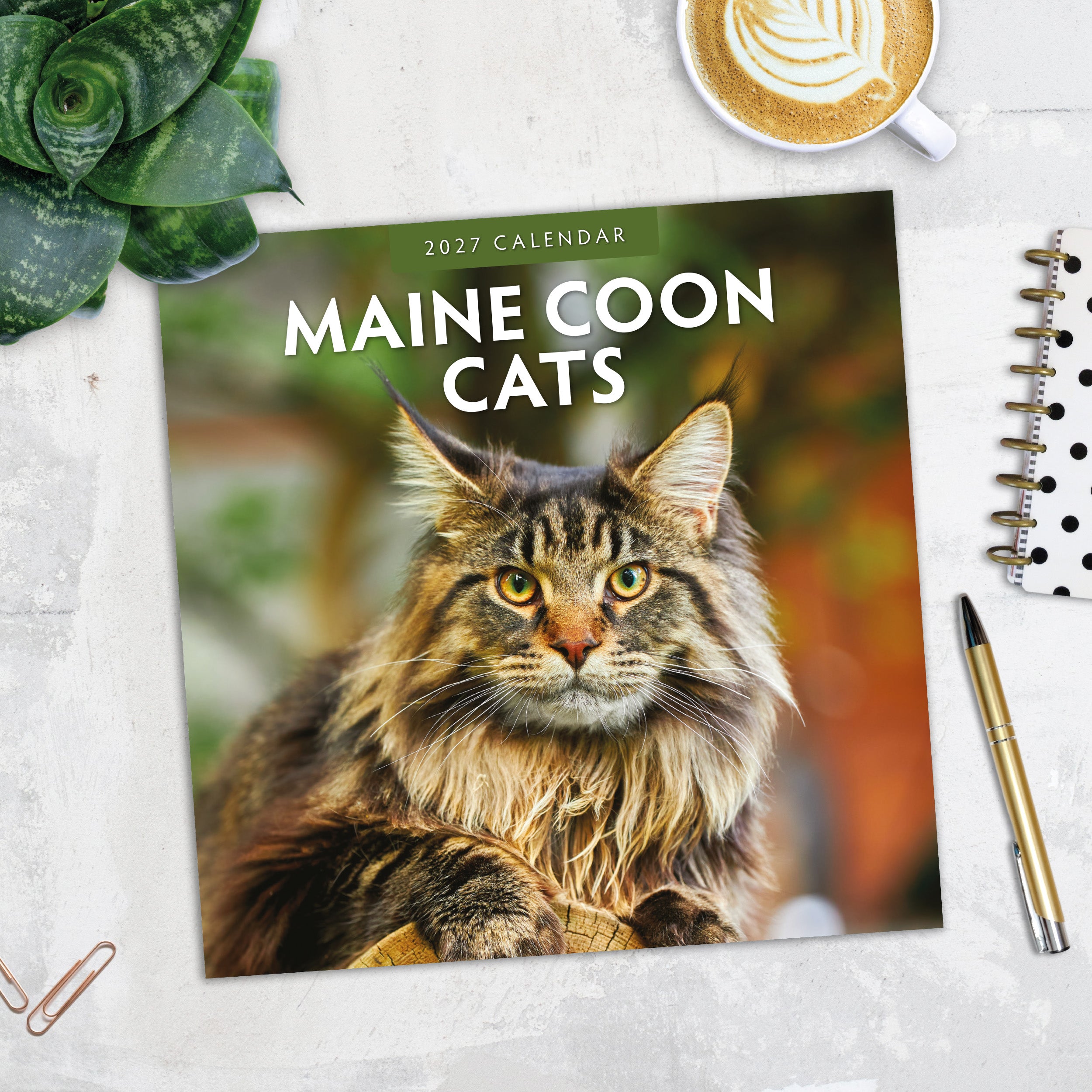 2027 Maine Coon Cats - Square Wall Calendar