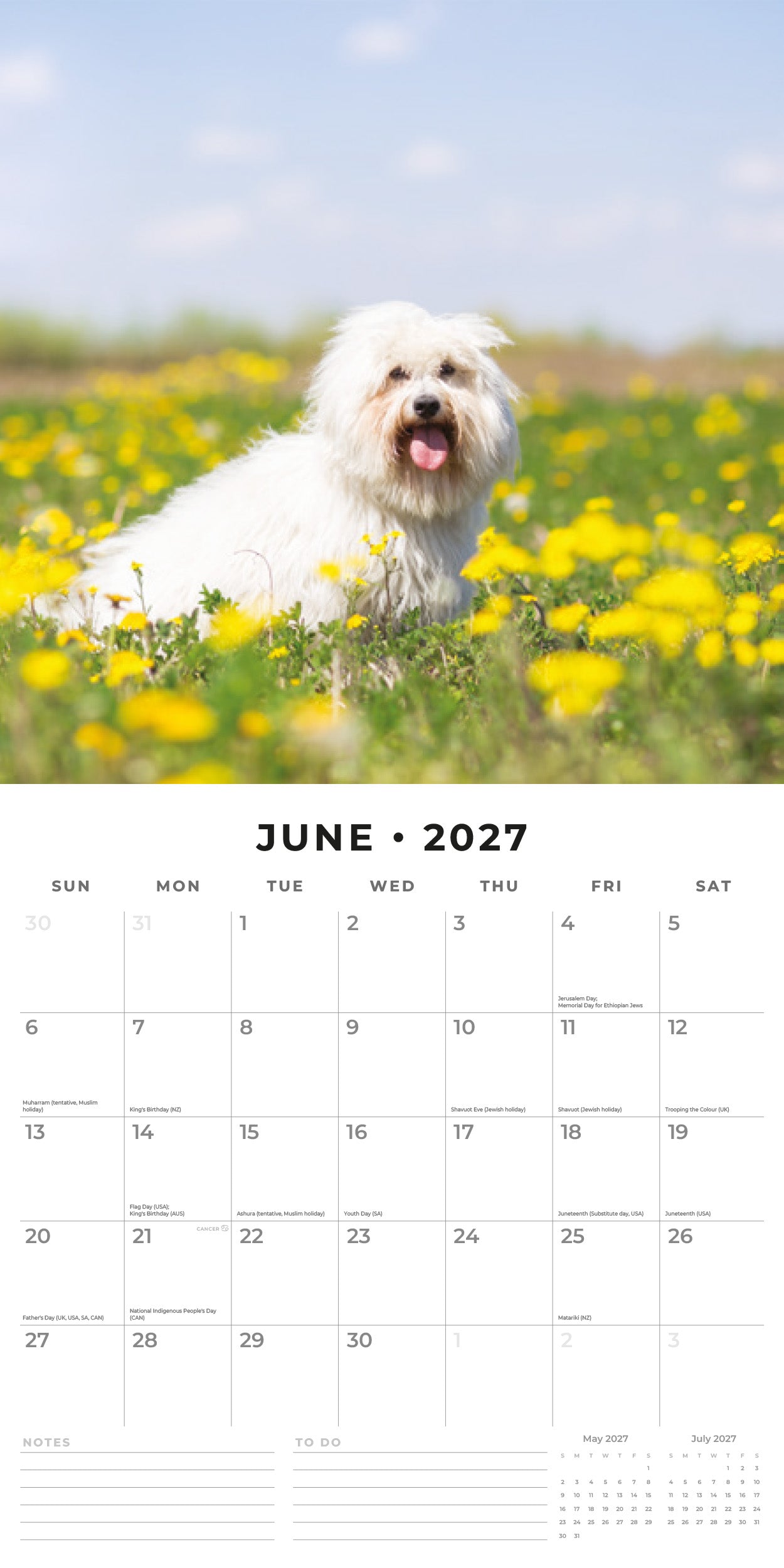 2027 Maltese - Square Wall Calendar