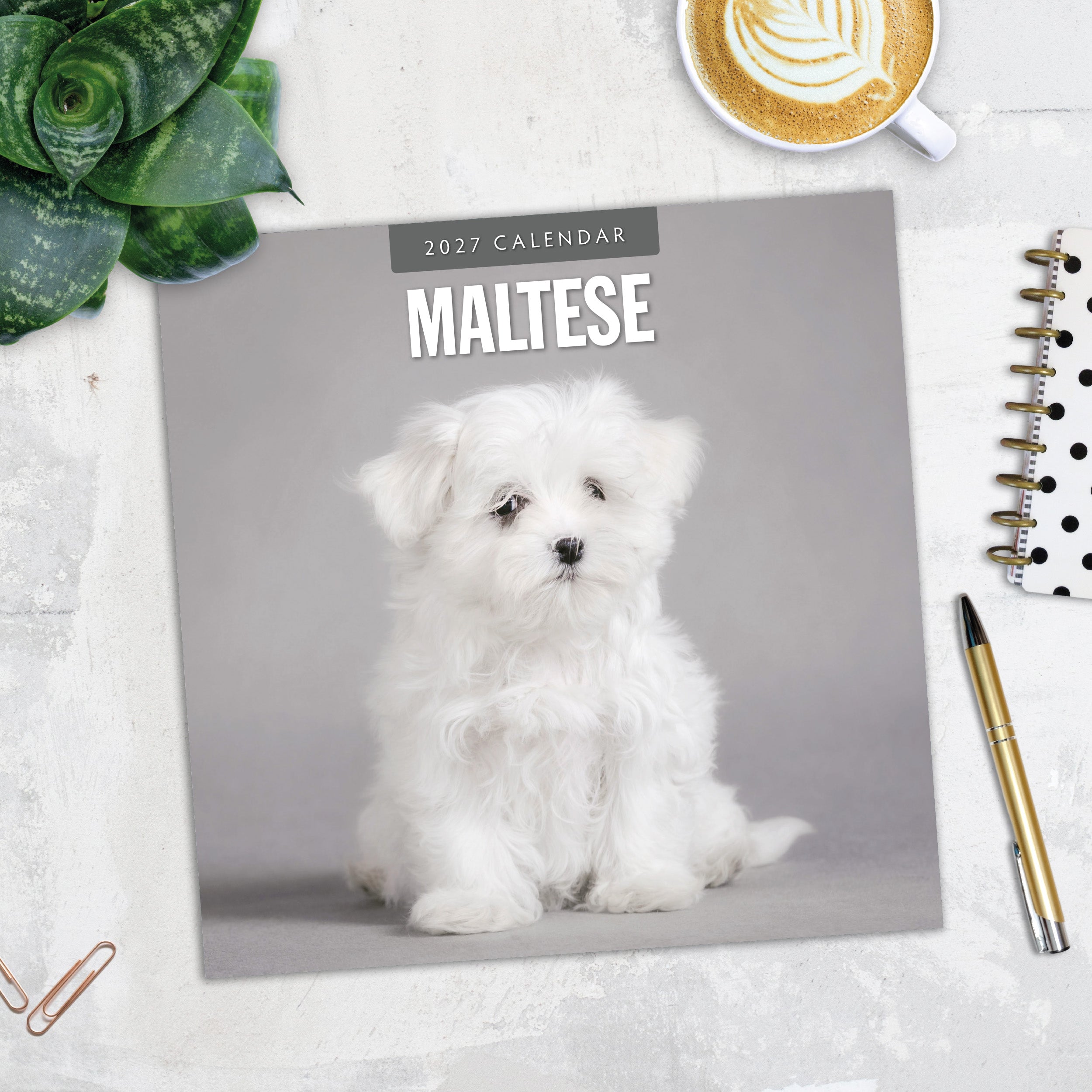 2027 Maltese - Square Wall Calendar
