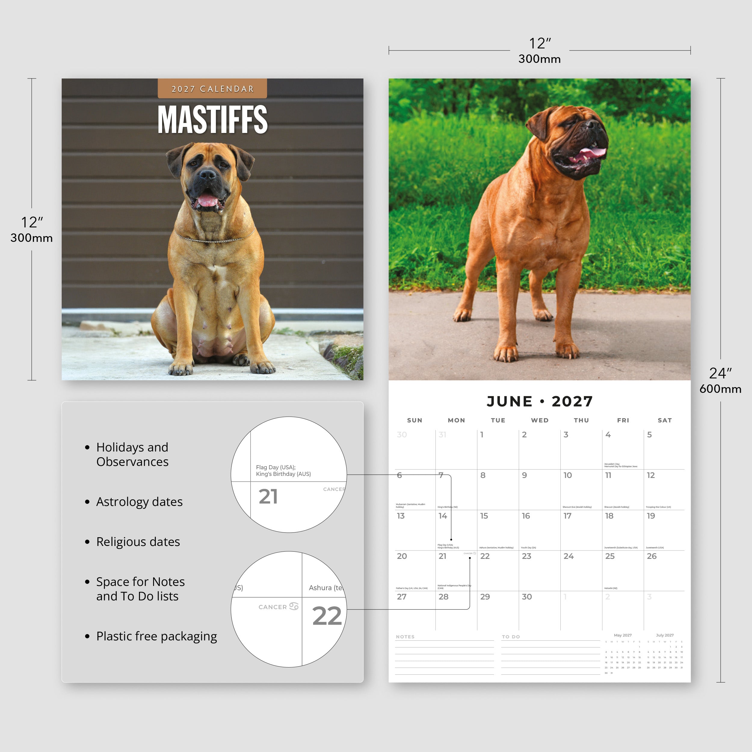 2027 Mastiffs - Square Wall Calendar
